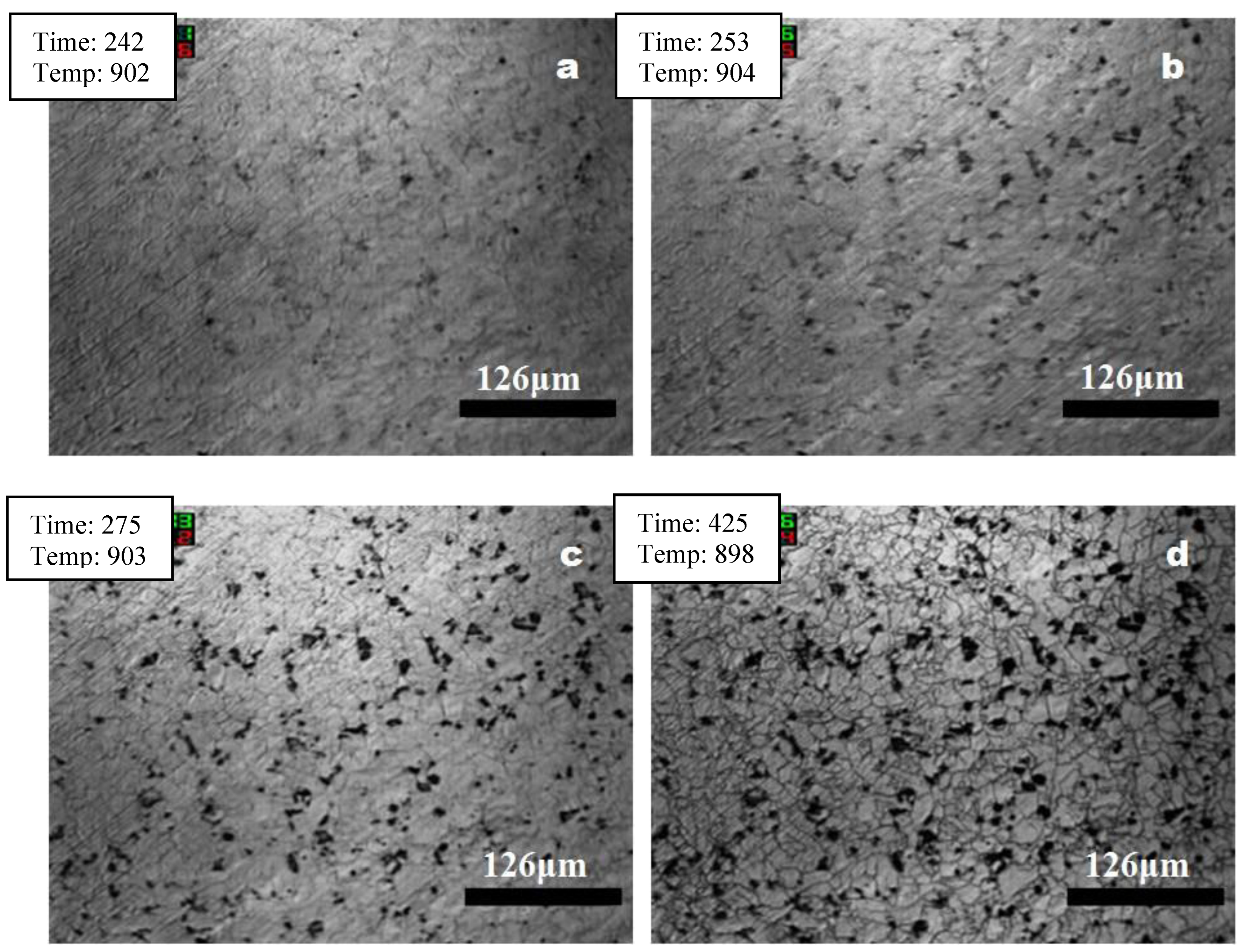 Preprints 113971 g005