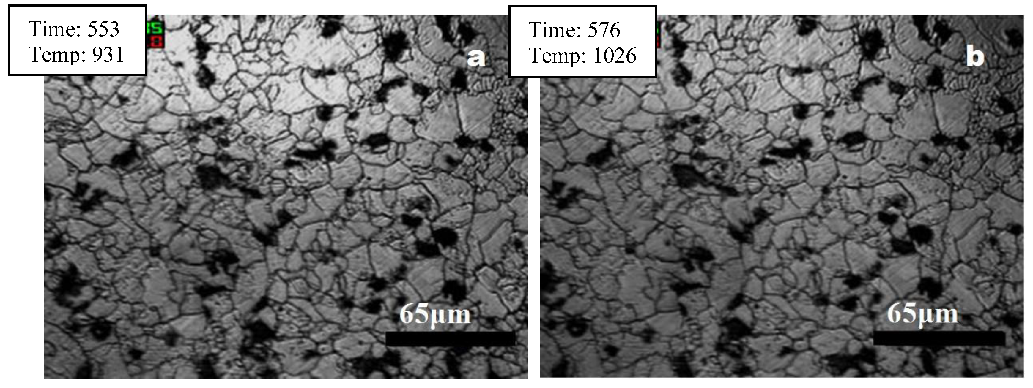 Preprints 113971 g006a