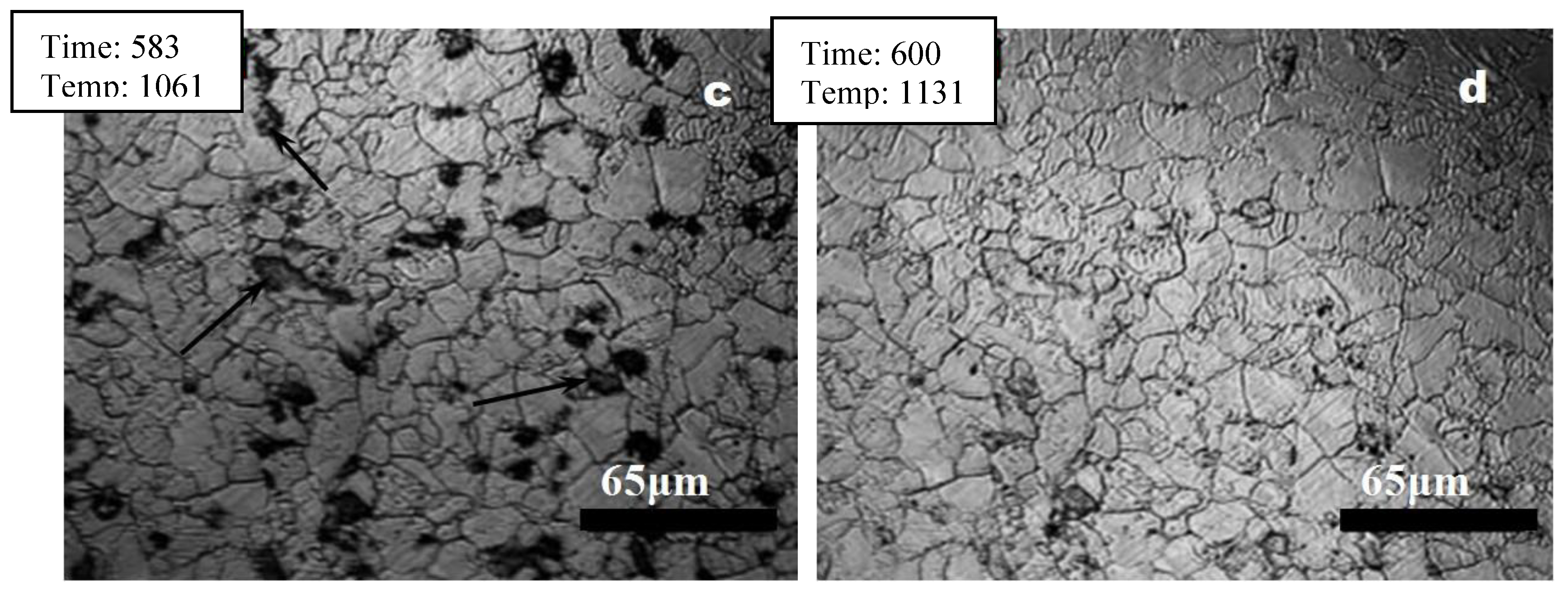 Preprints 113971 g006b