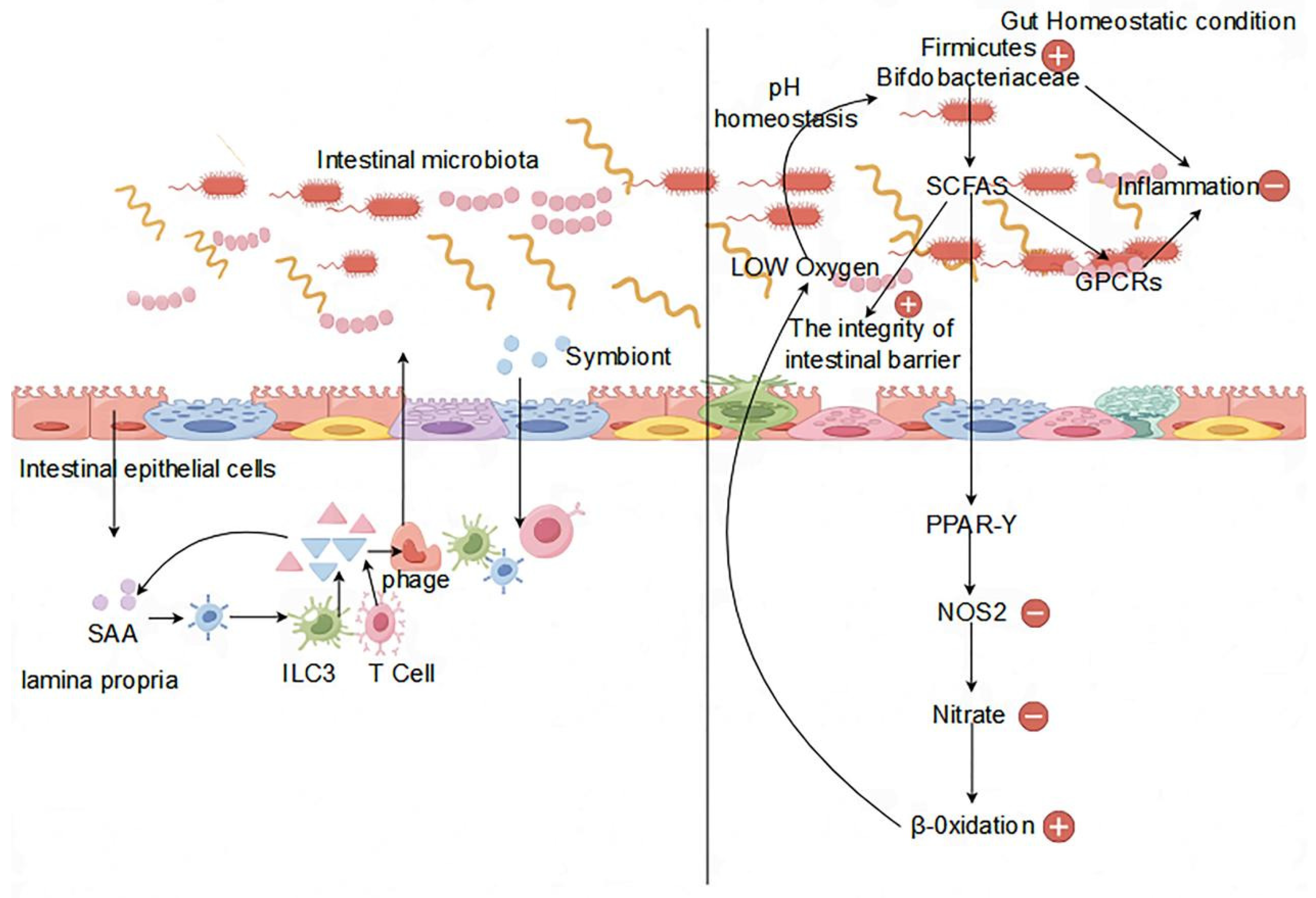 Preprints 104611 g001