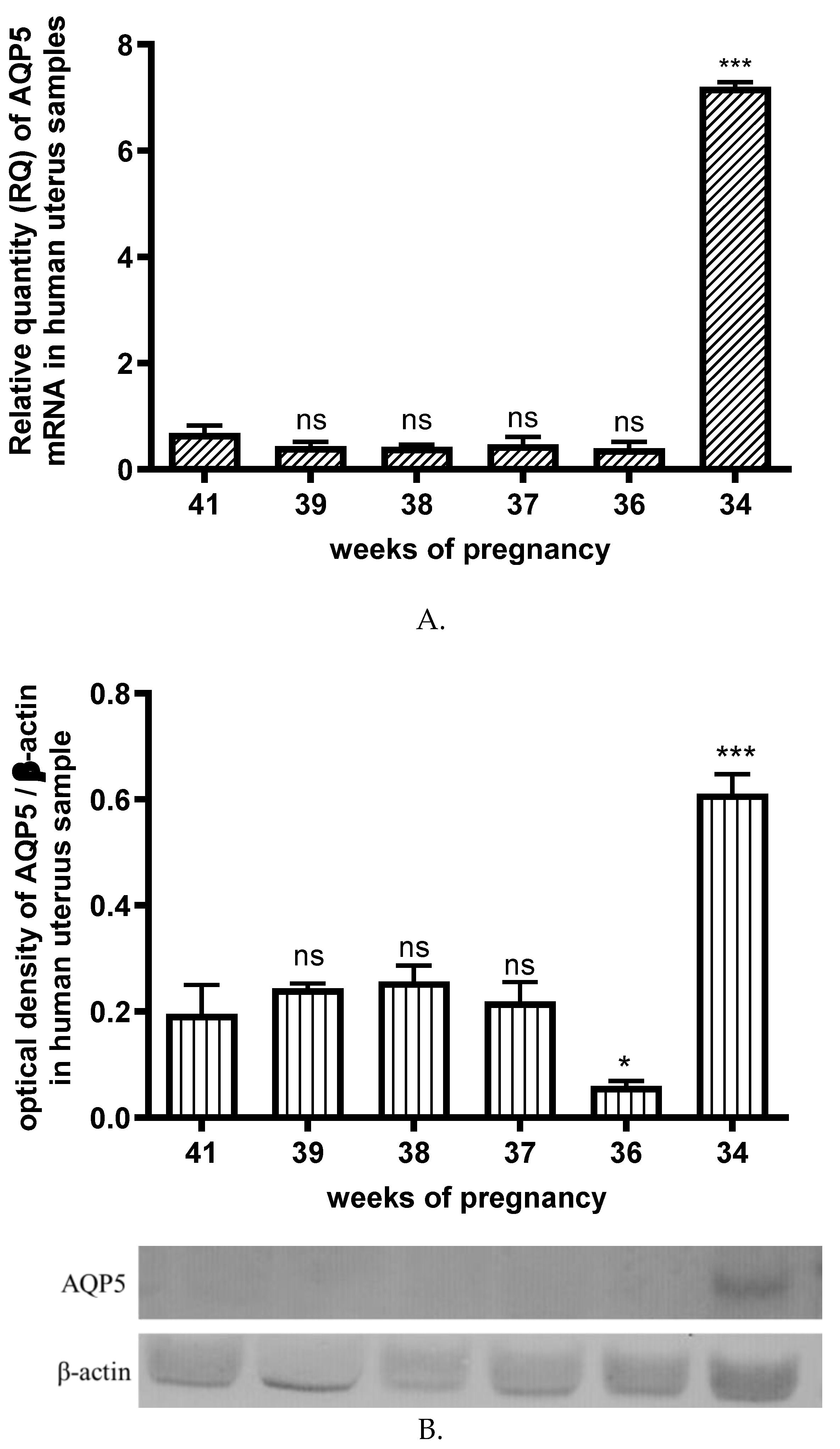 Preprints 111902 g003