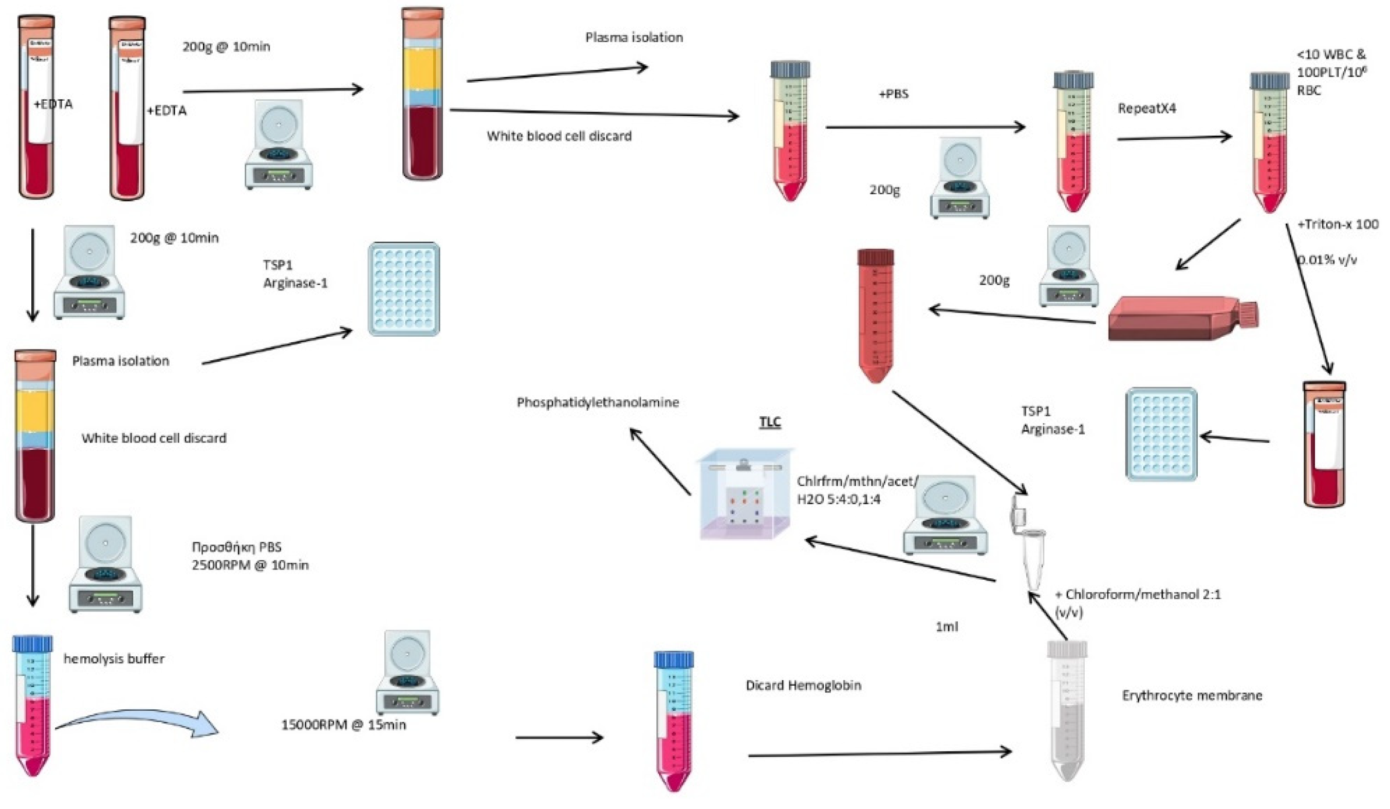 Preprints 71078 g002