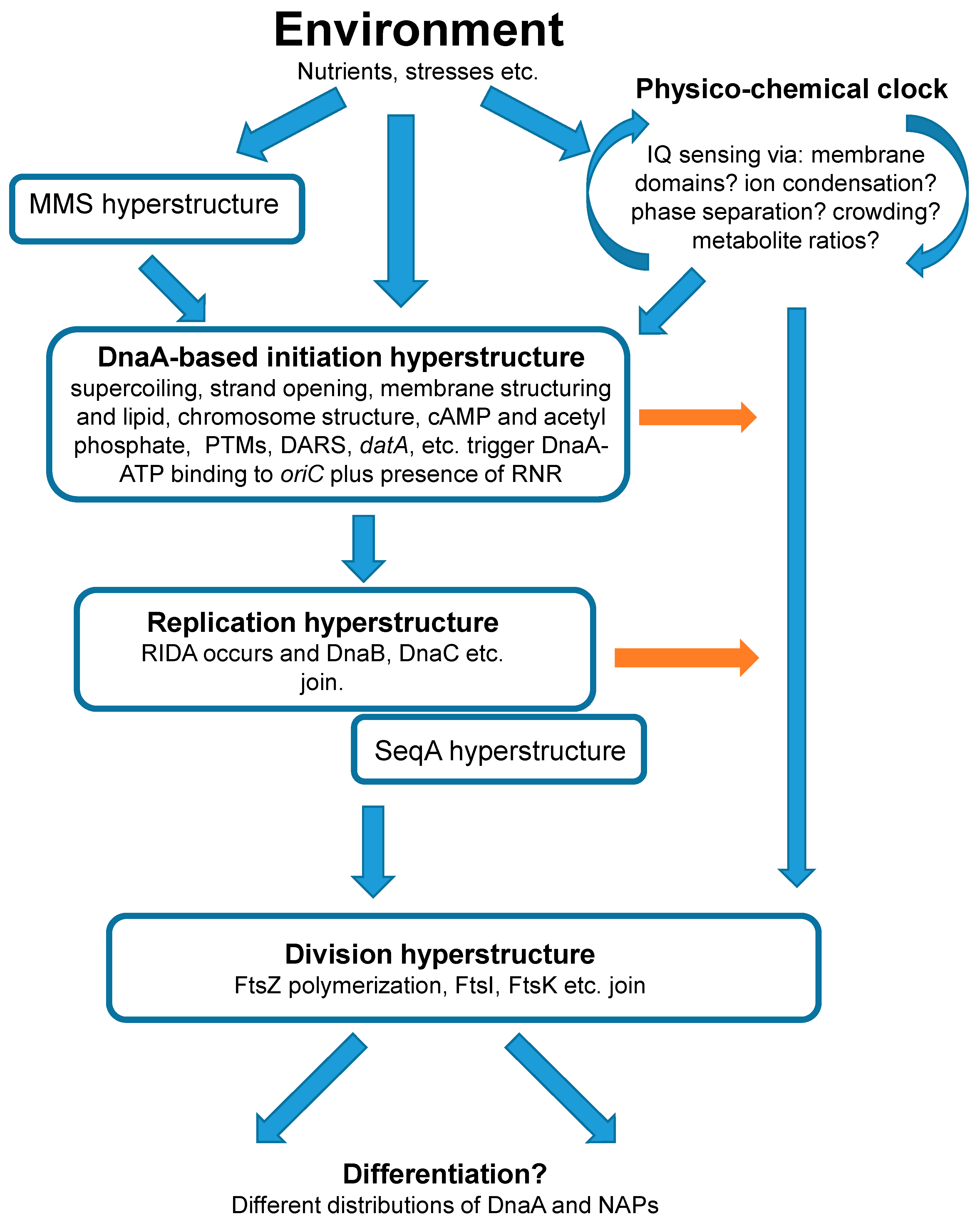 Preprints 79842 g001