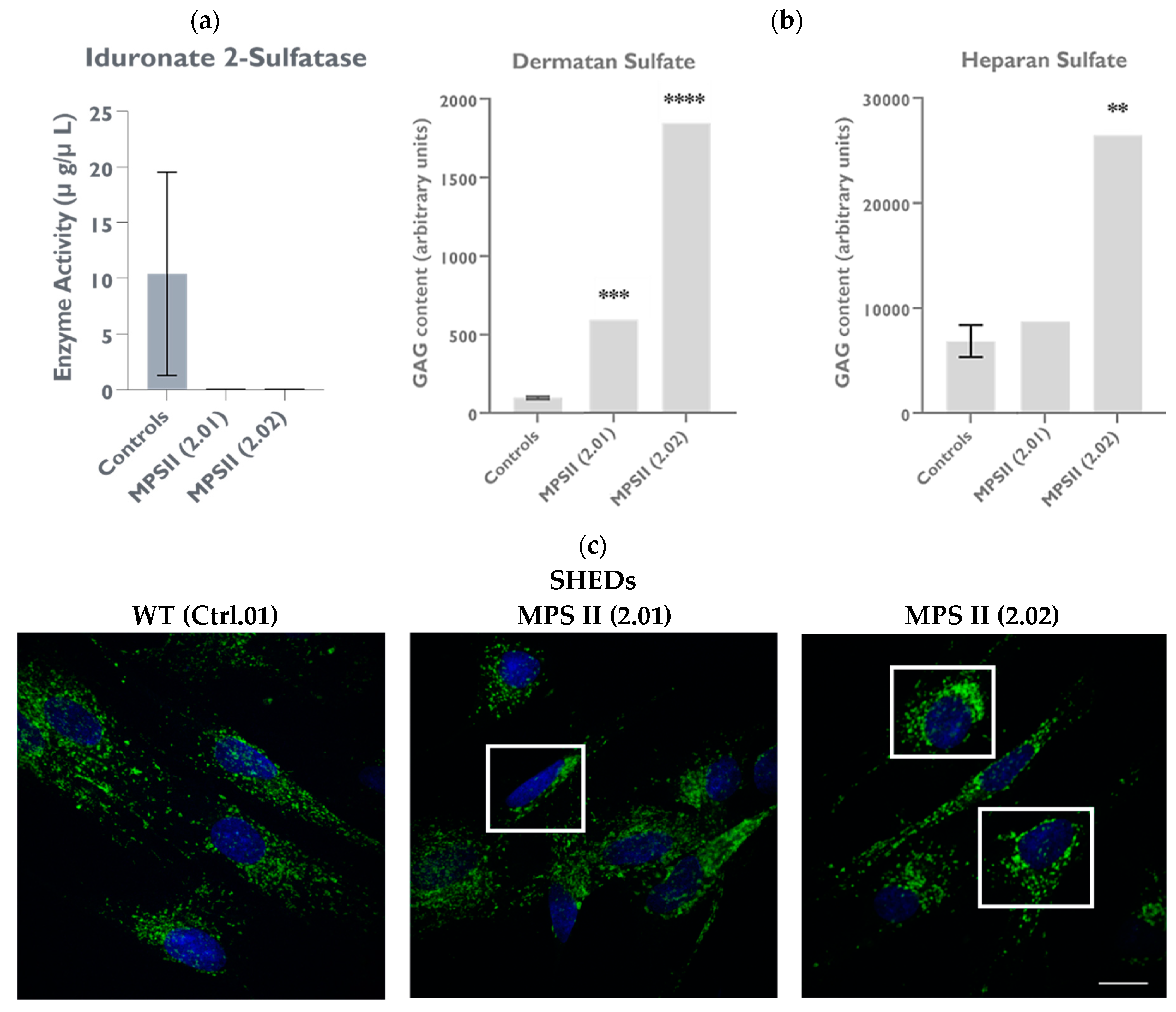 Preprints 100154 g003