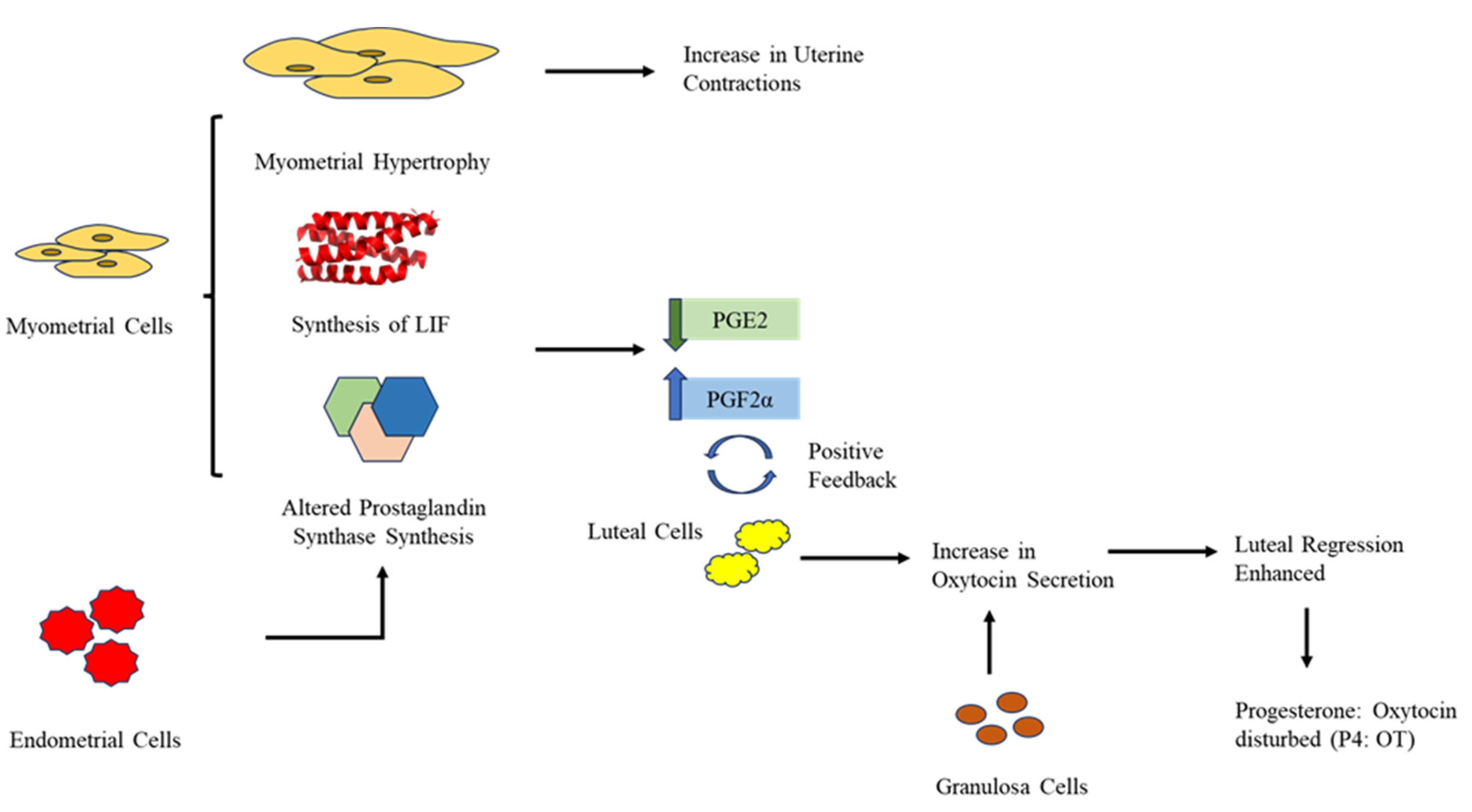 Preprints 80536 g003