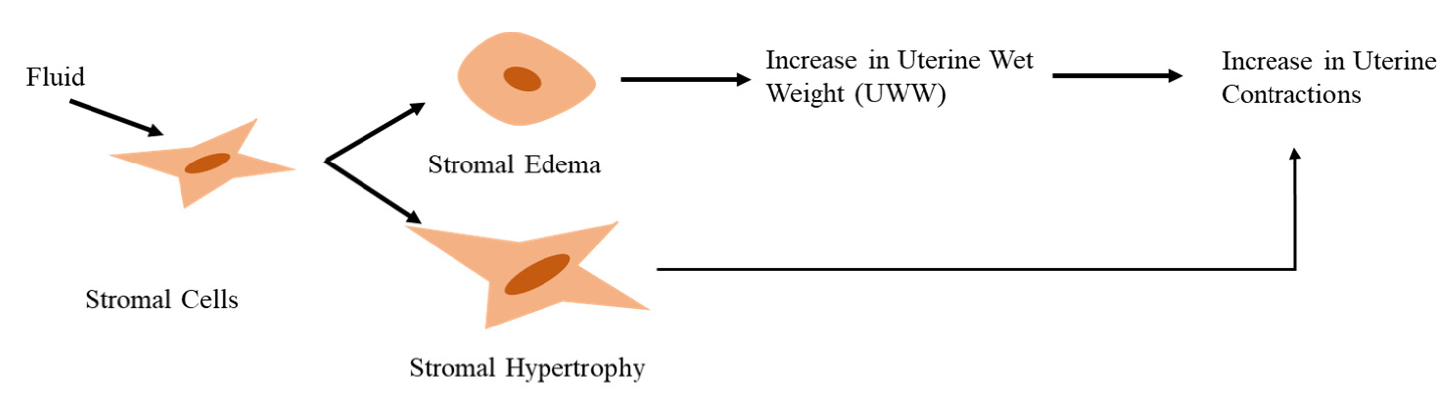 Preprints 80536 g004