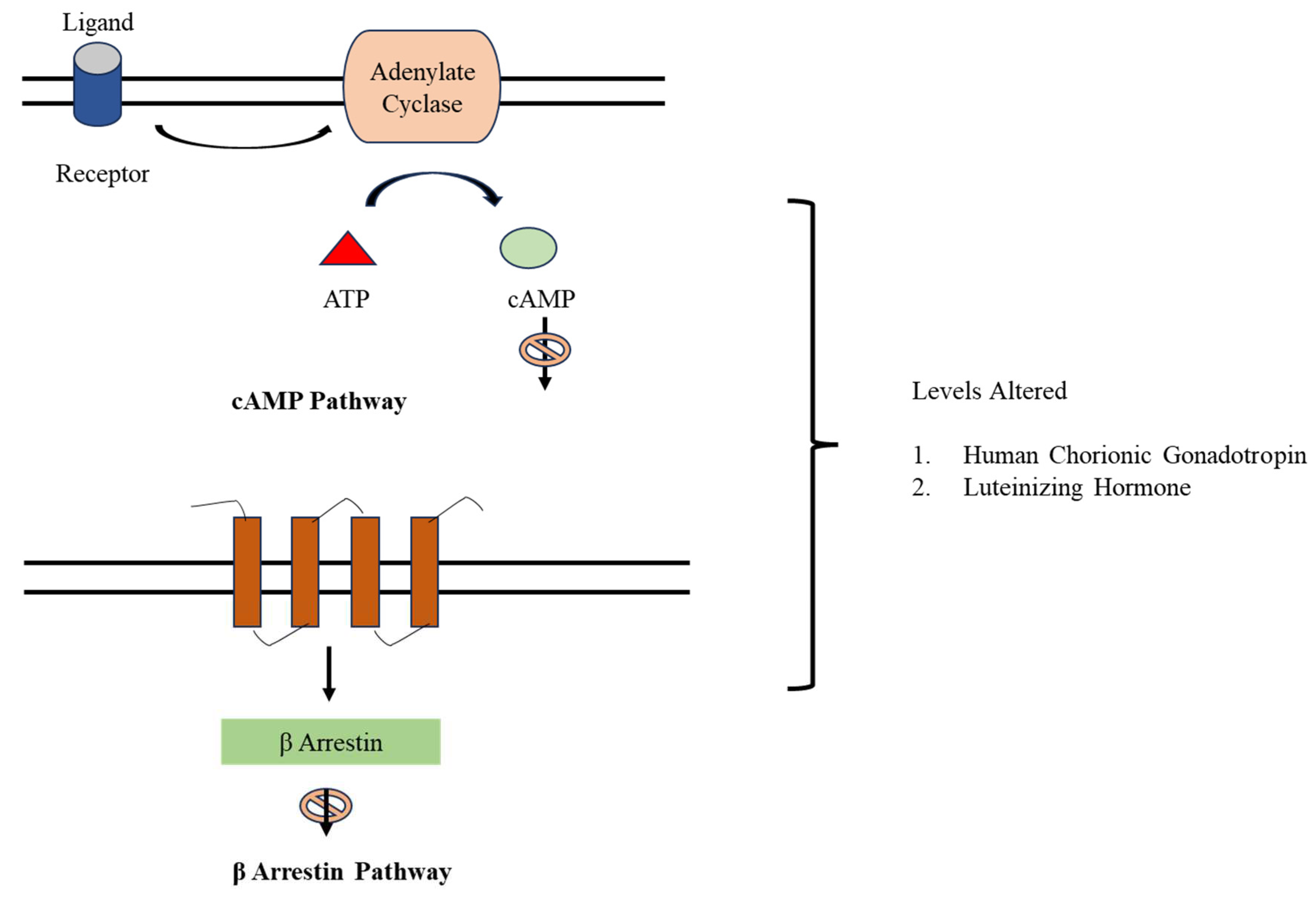 Preprints 80536 g006