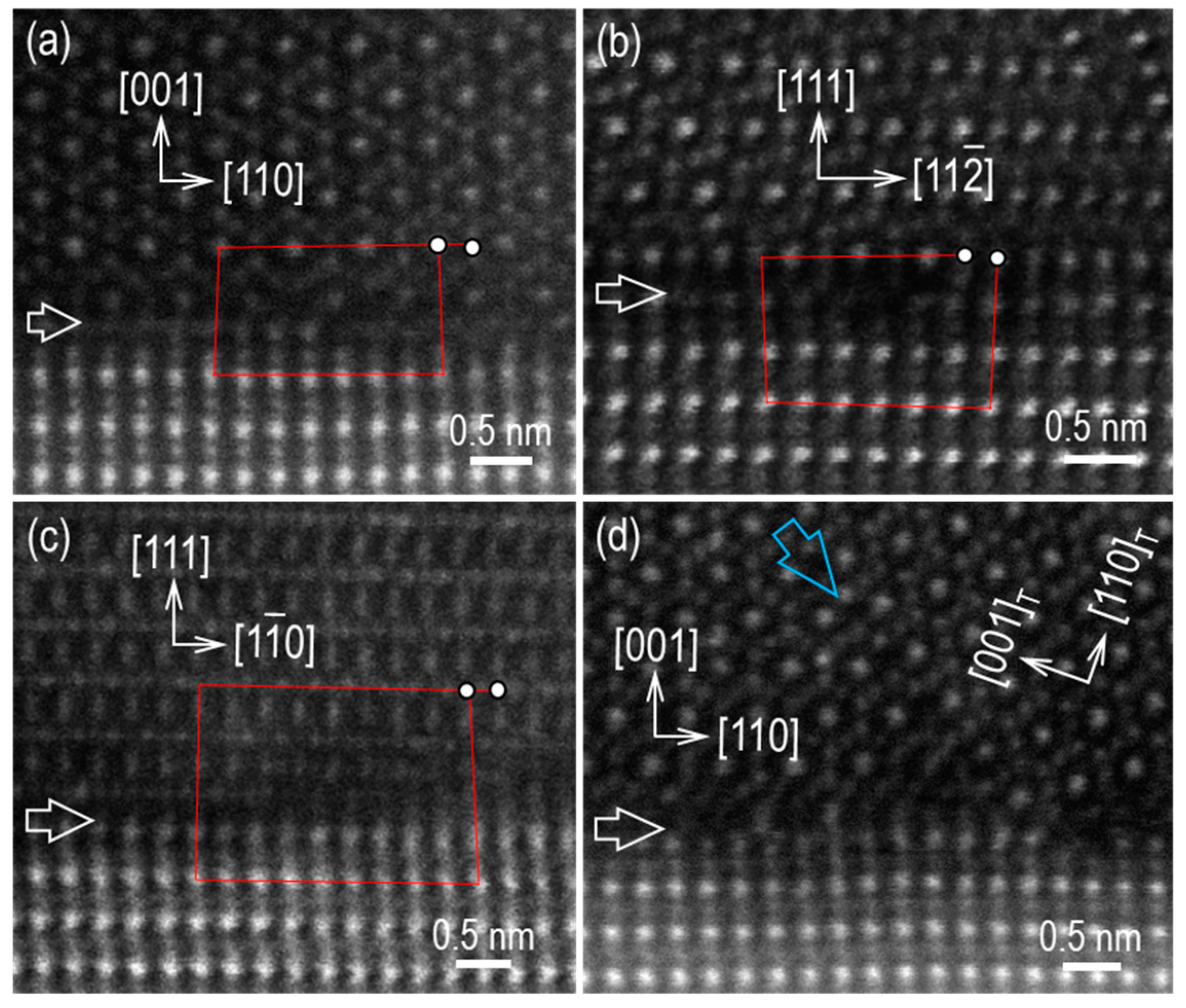 Preprints 90674 g002