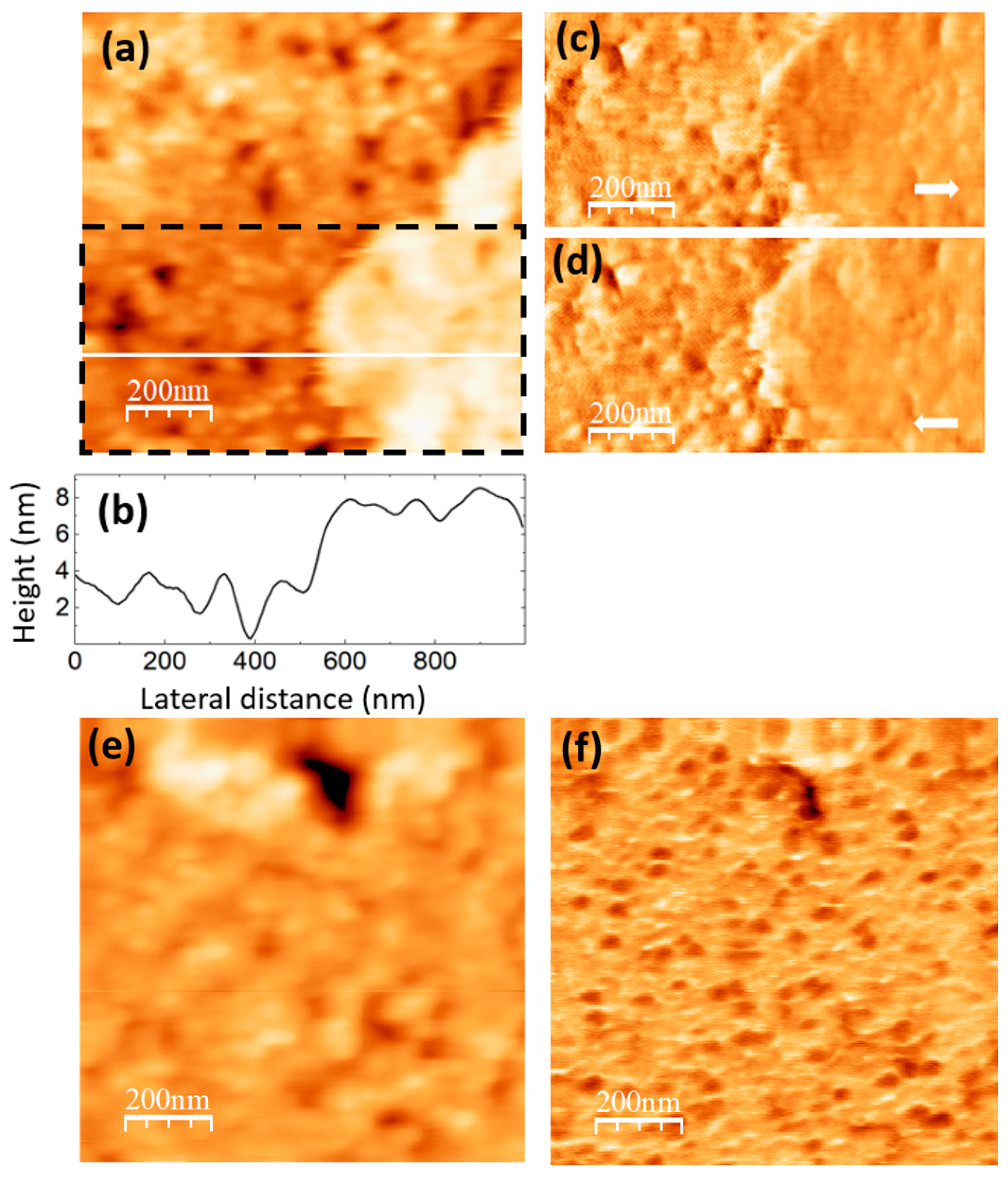 Preprints 89938 g006