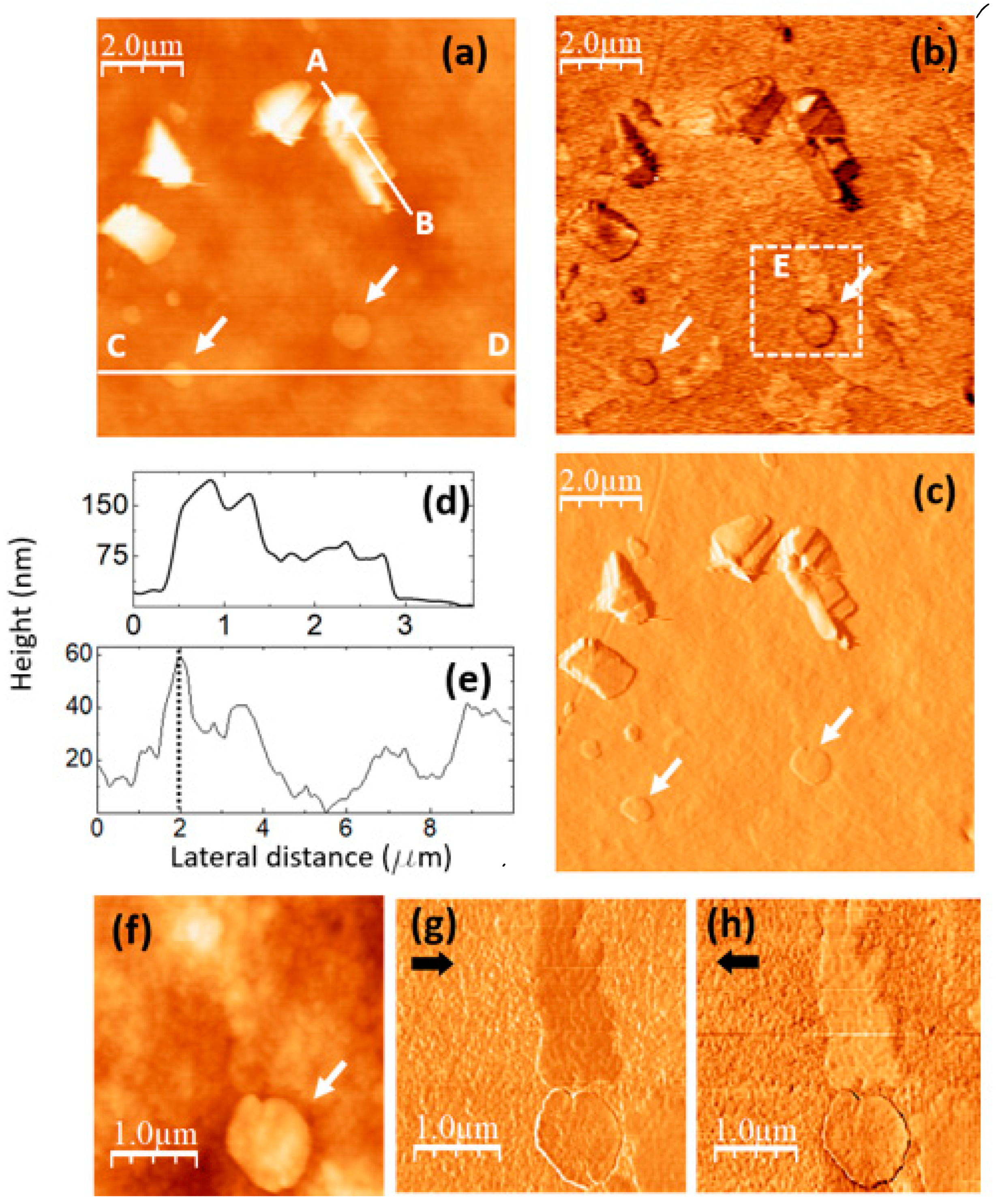 Preprints 89938 g007