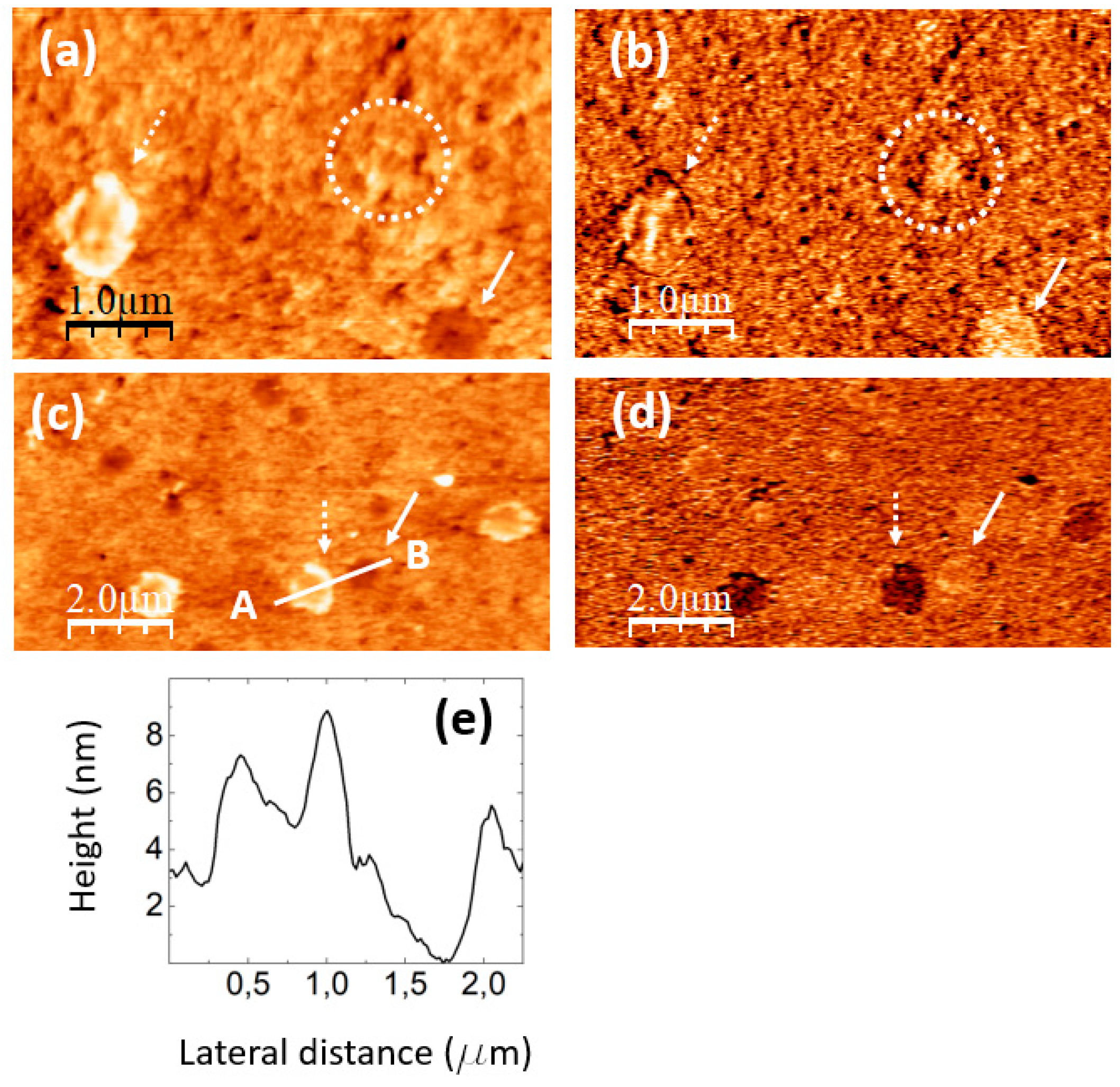 Preprints 89938 g008