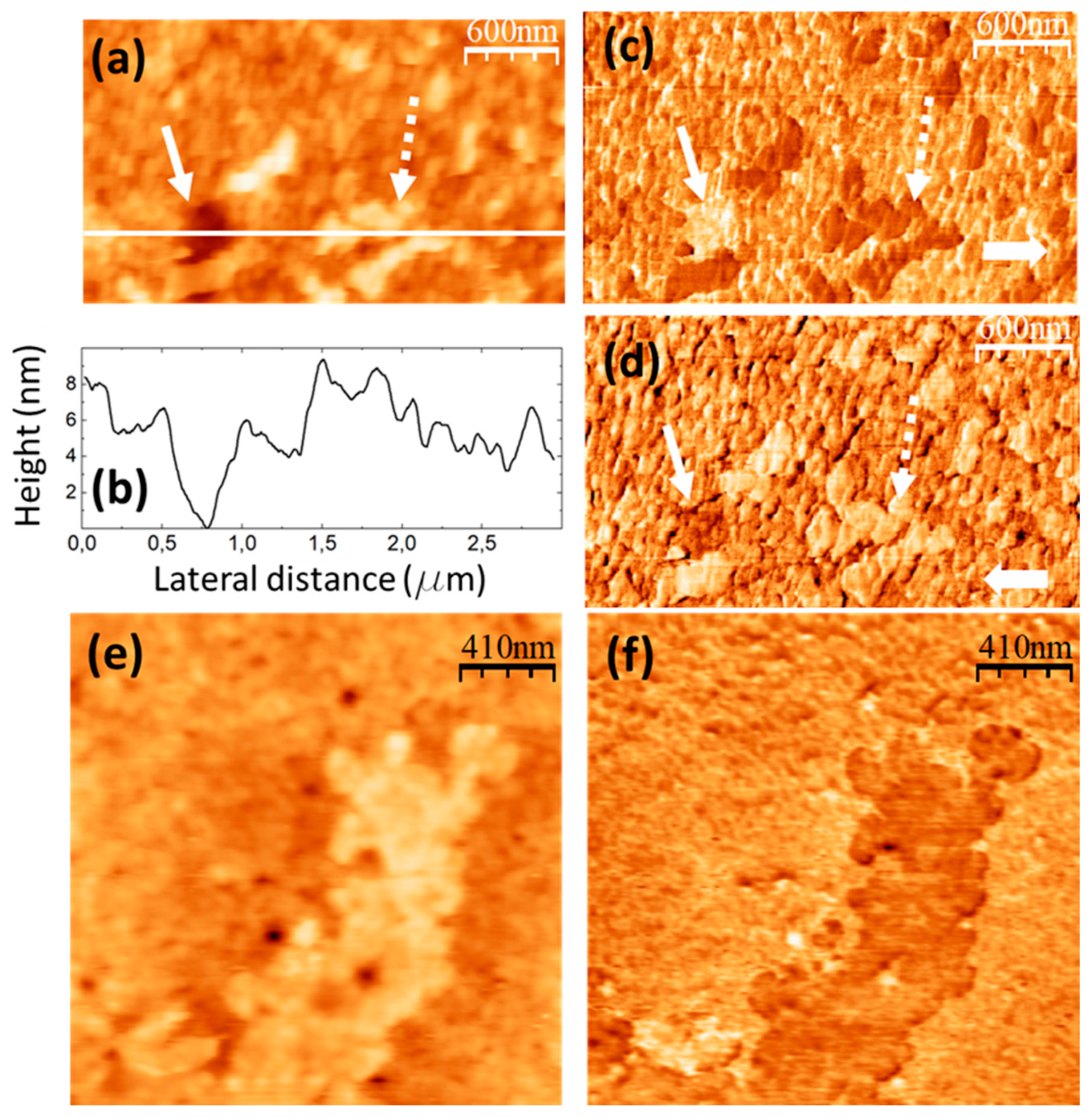 Preprints 89938 g009