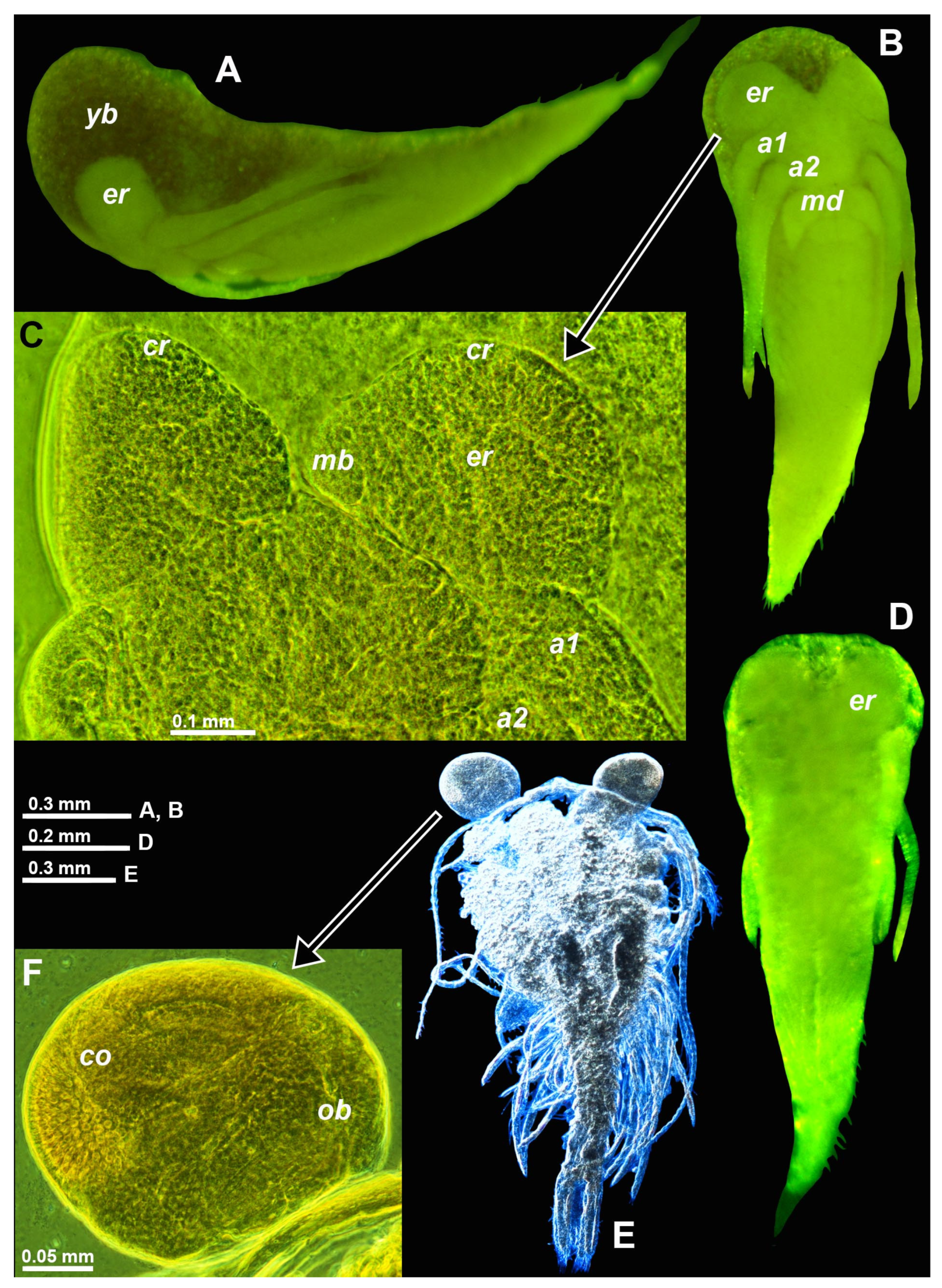 Preprints 80217 g003