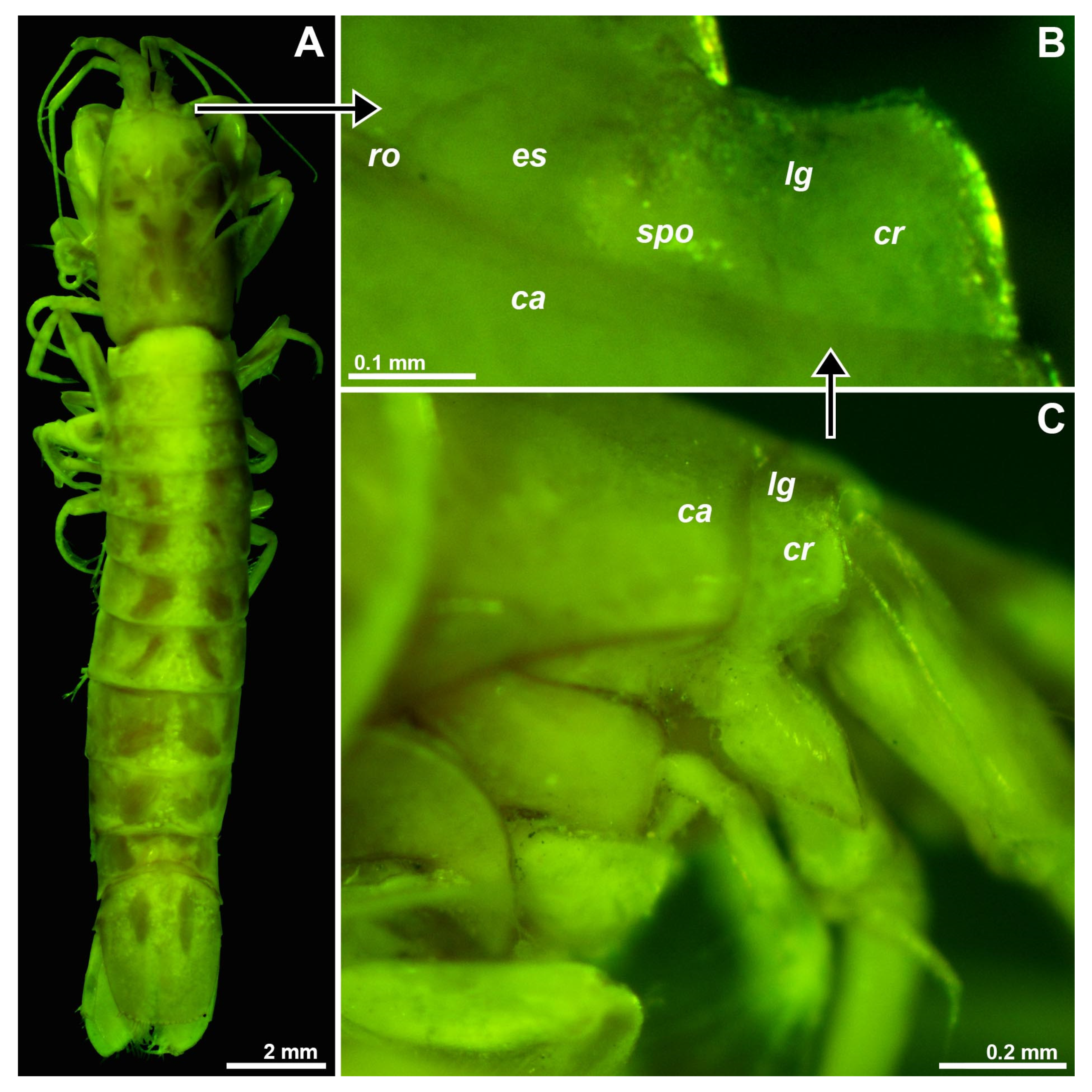 Preprints 80217 g010