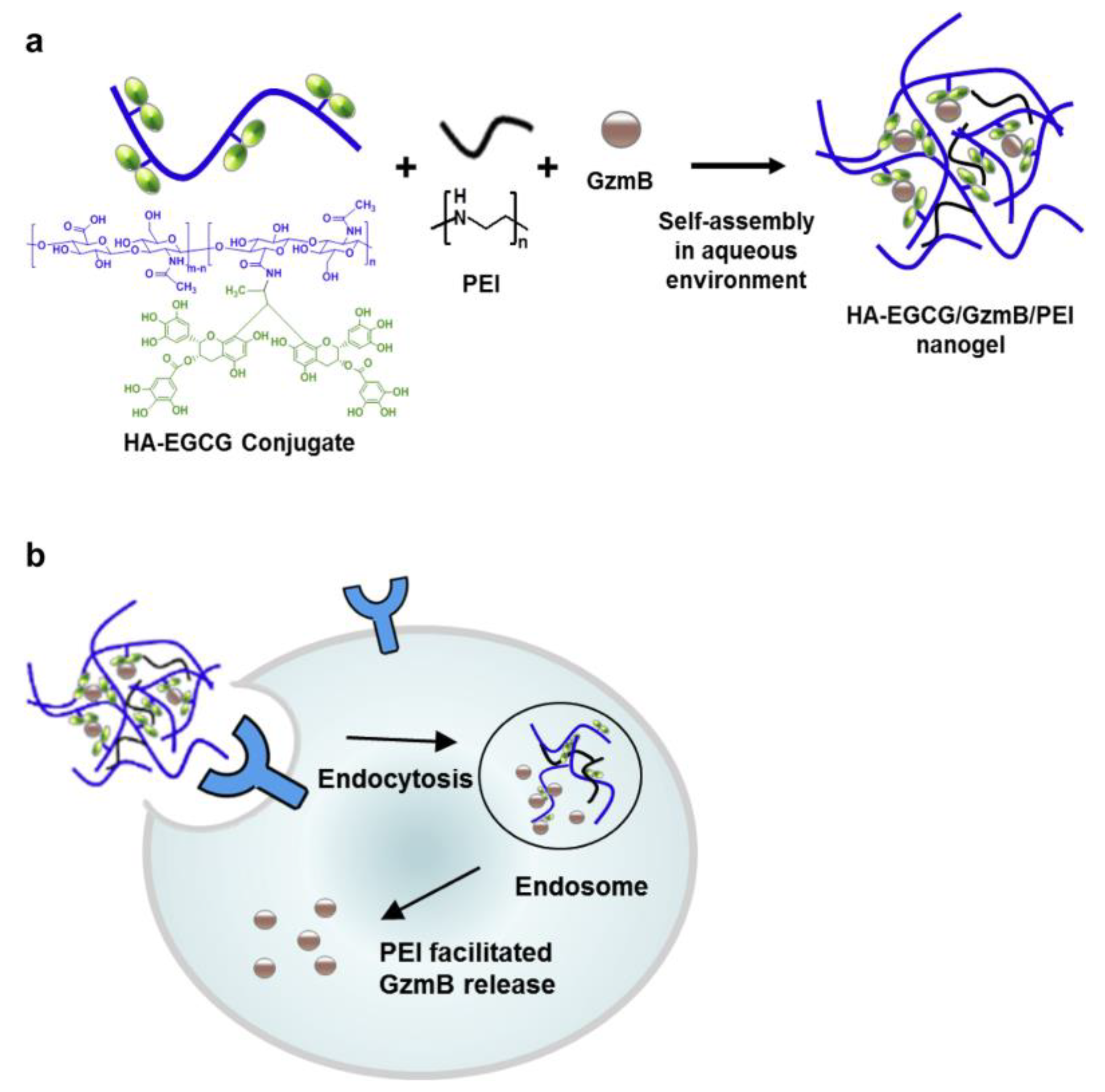 Preprints 72037 g006