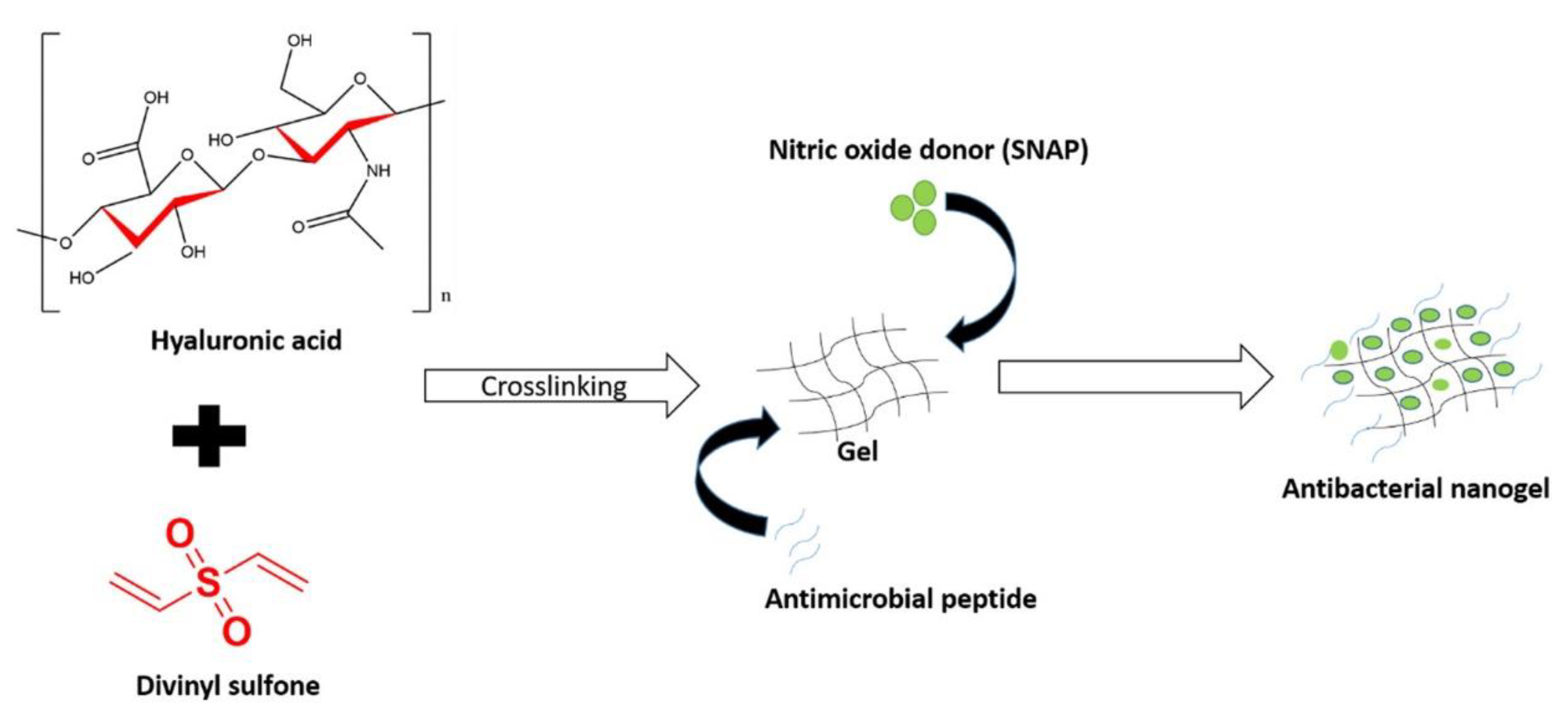 Preprints 72037 g007