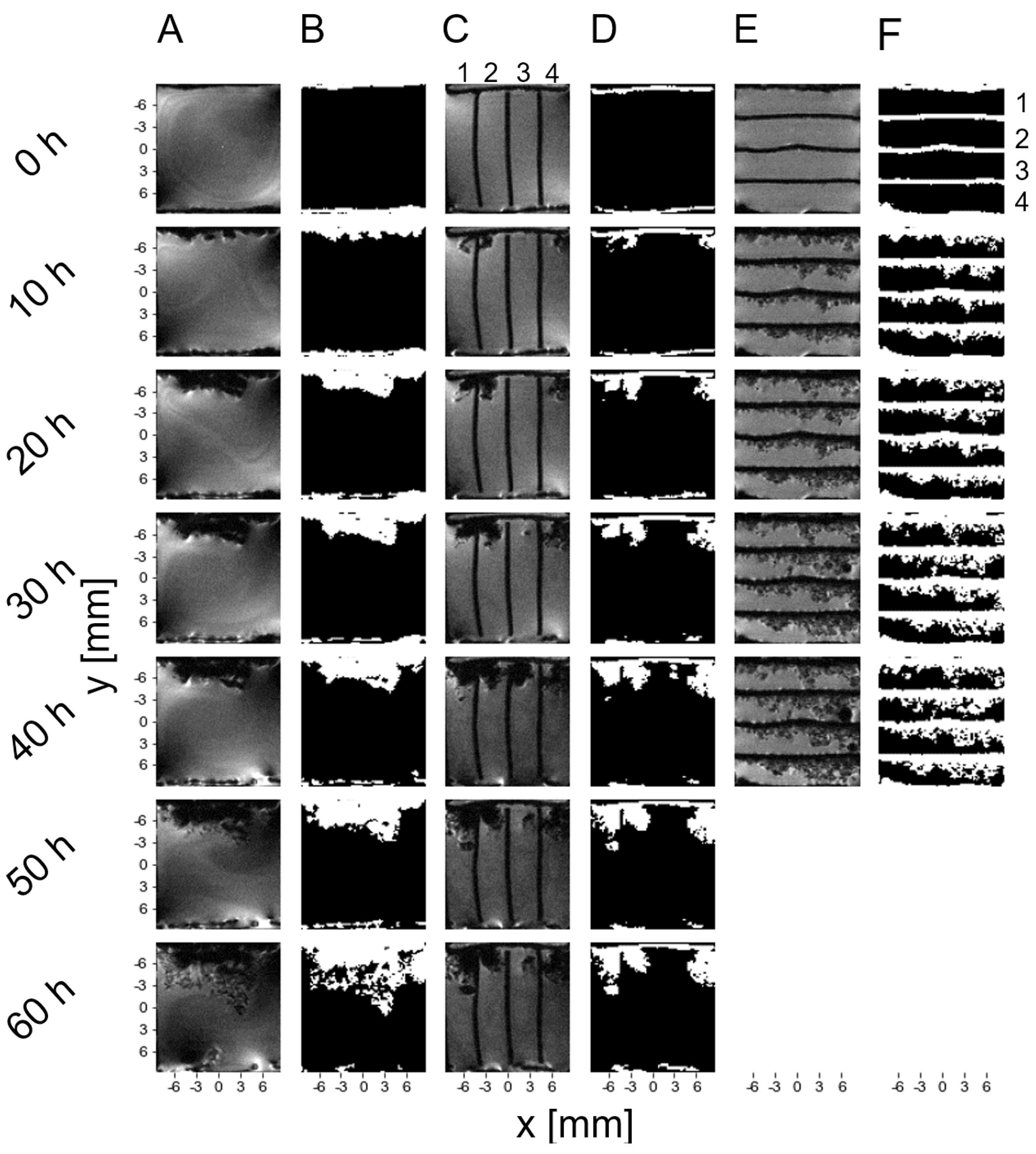 Preprints 104731 g002