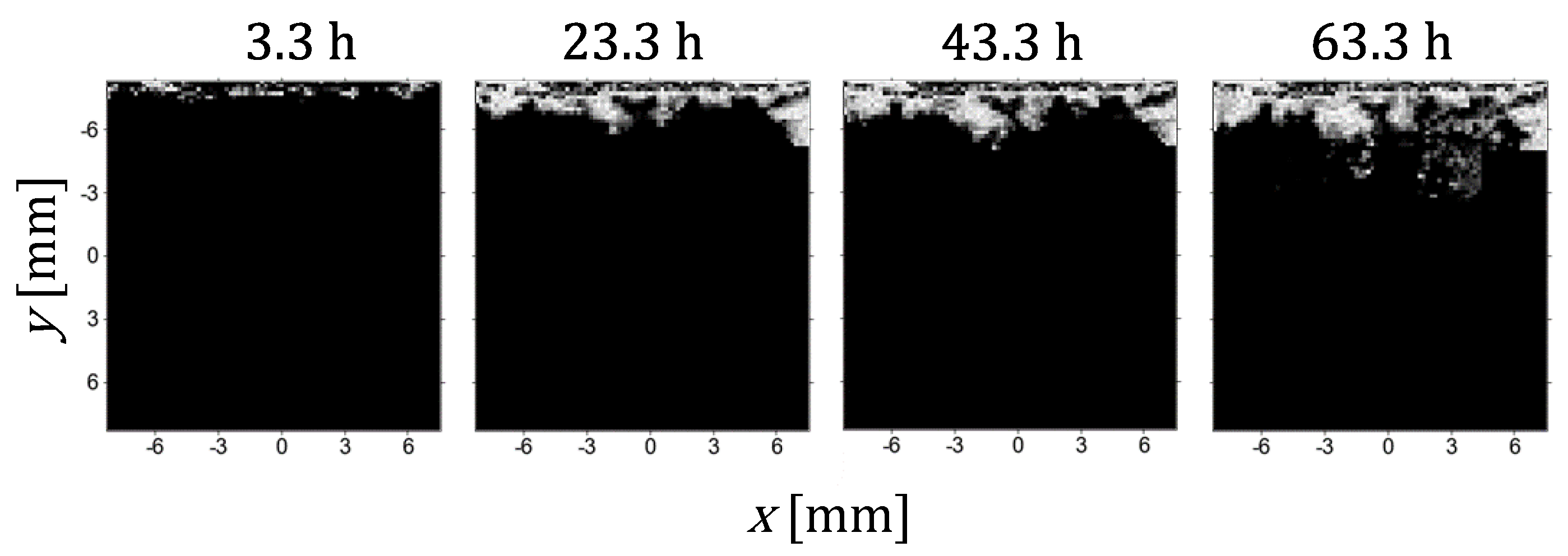 Preprints 104731 g005