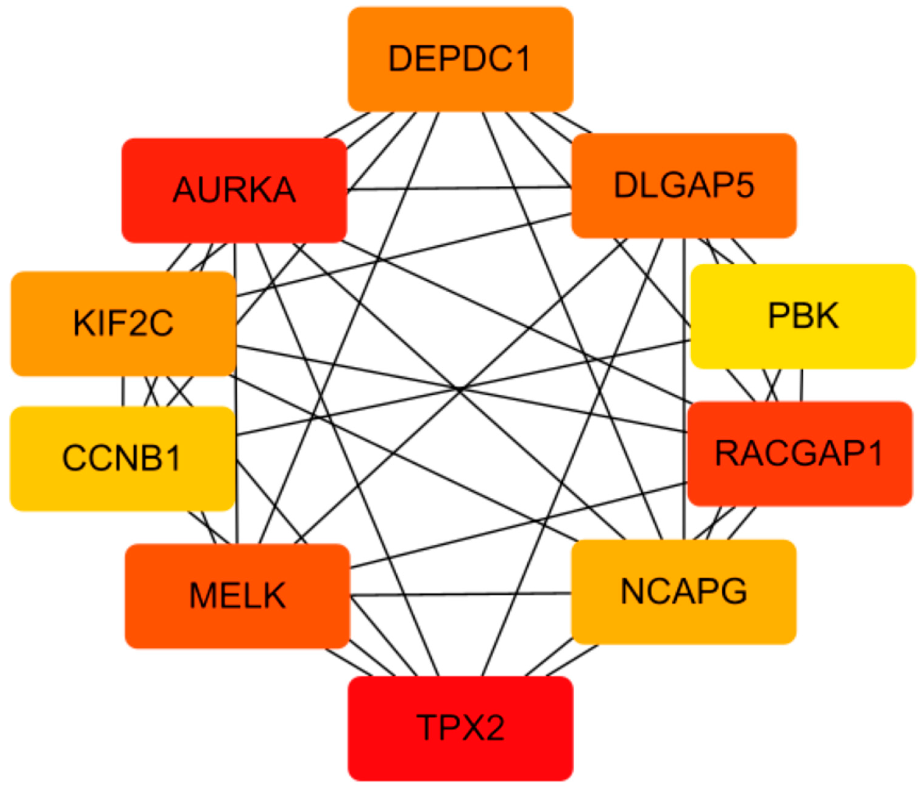 Preprints 91430 g001