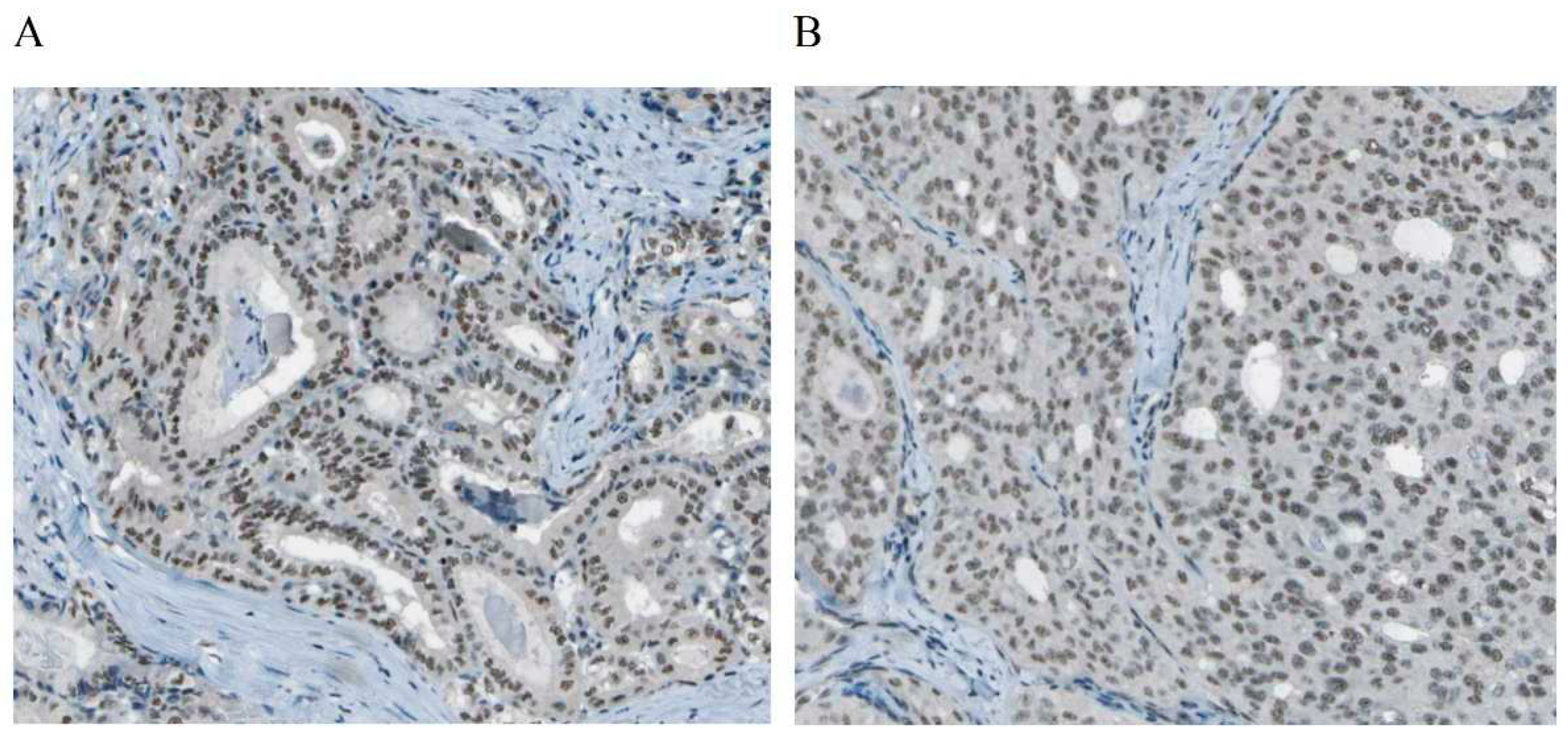 Preprints 91430 g002