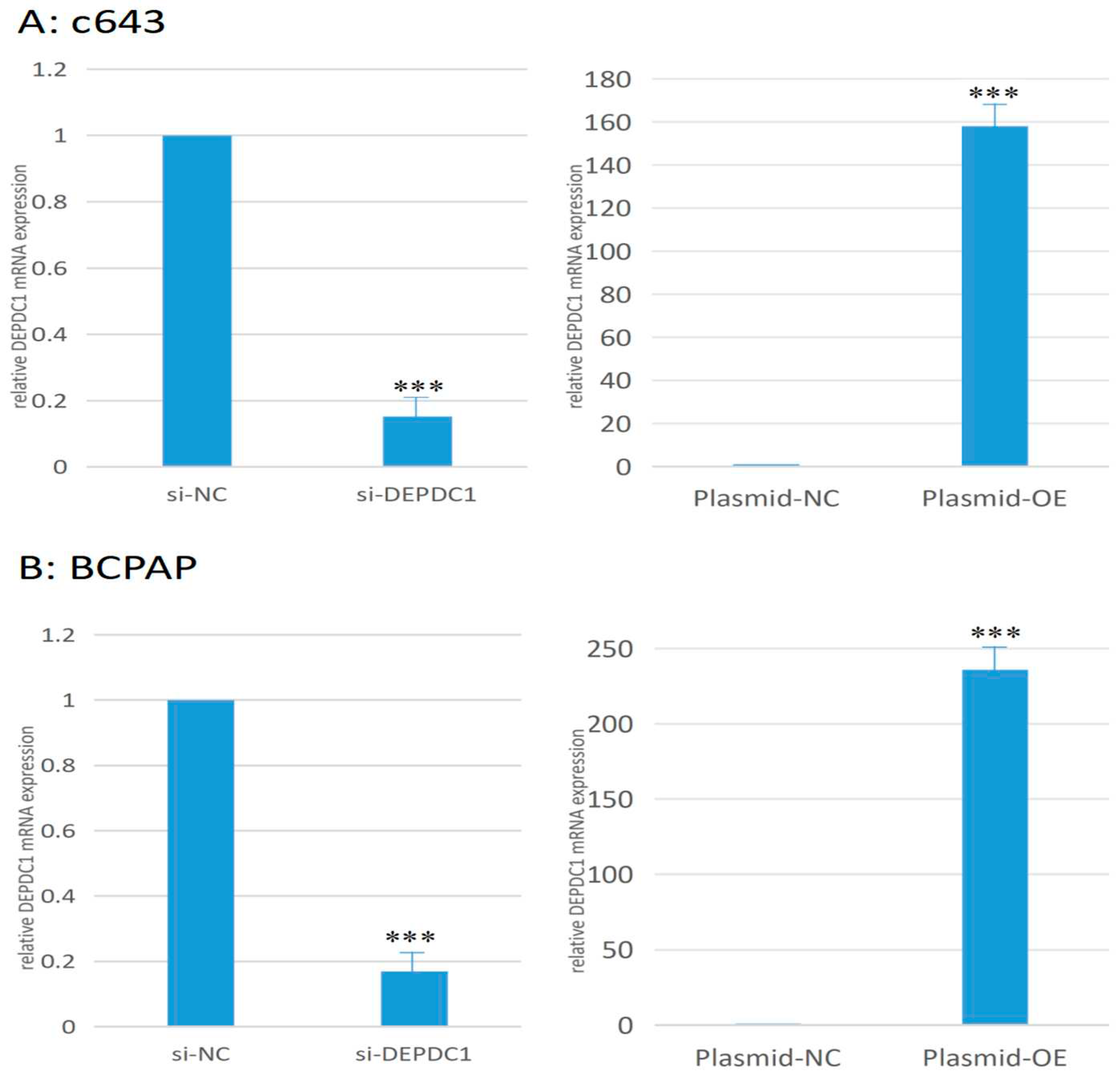 Preprints 91430 g011