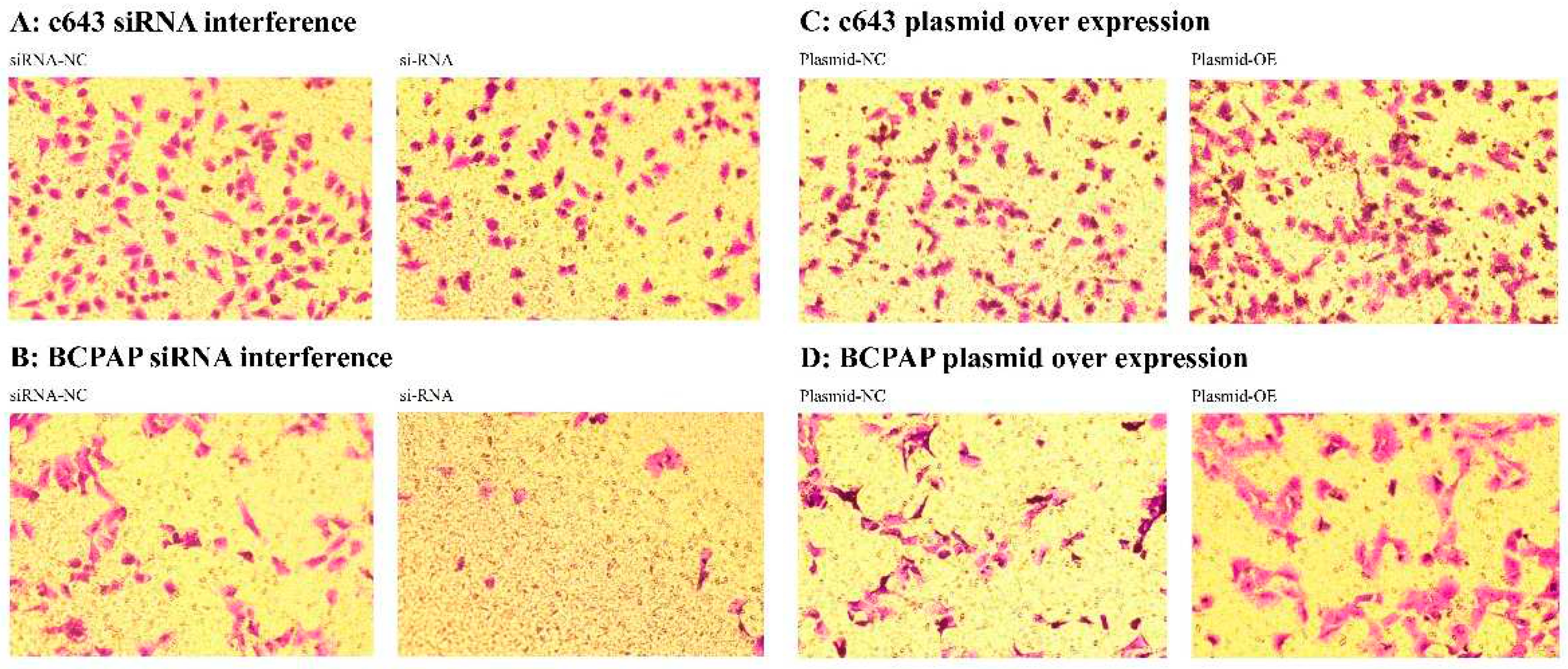 Preprints 91430 g013