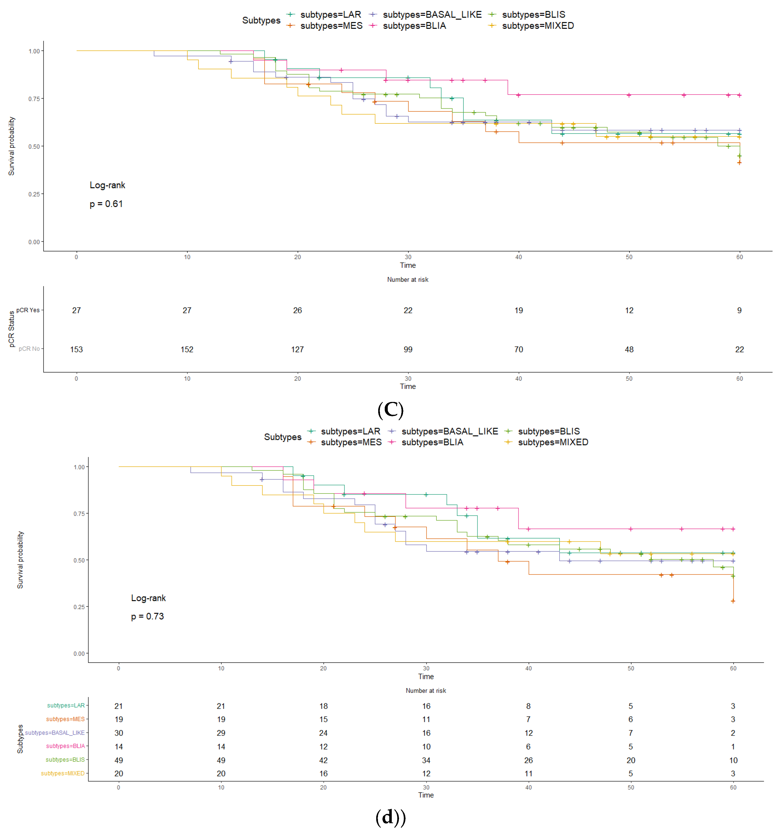 Preprints 104671 g001b