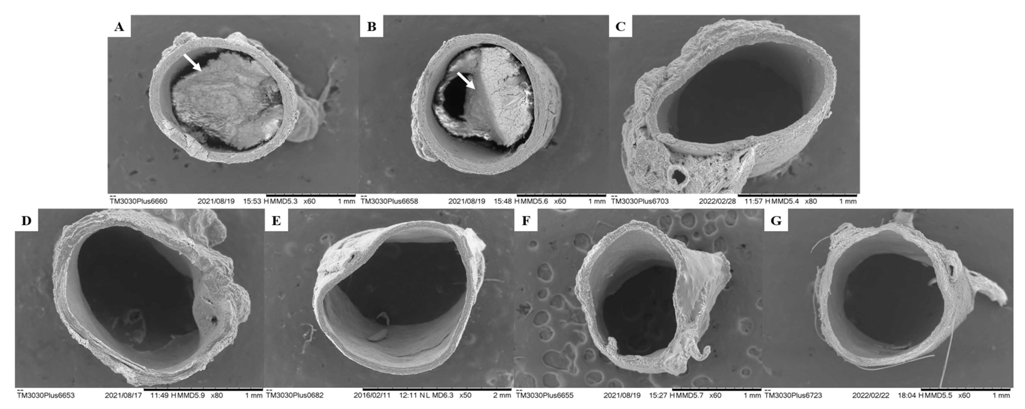 Preprints 79929 g006