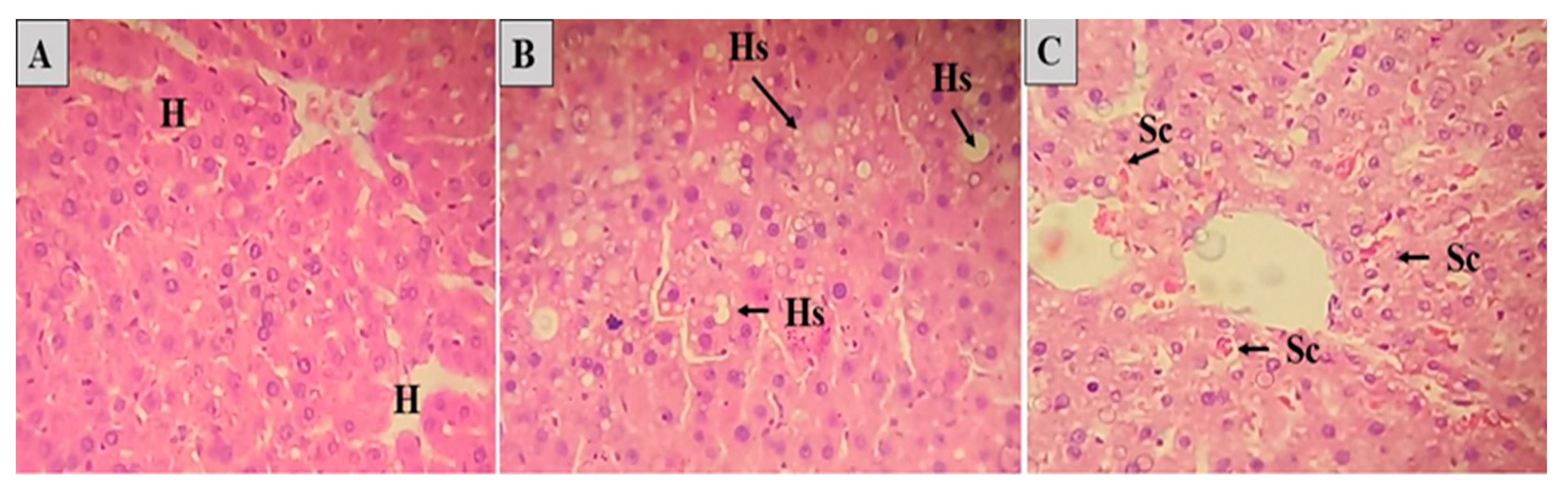 Preprints 79929 g007