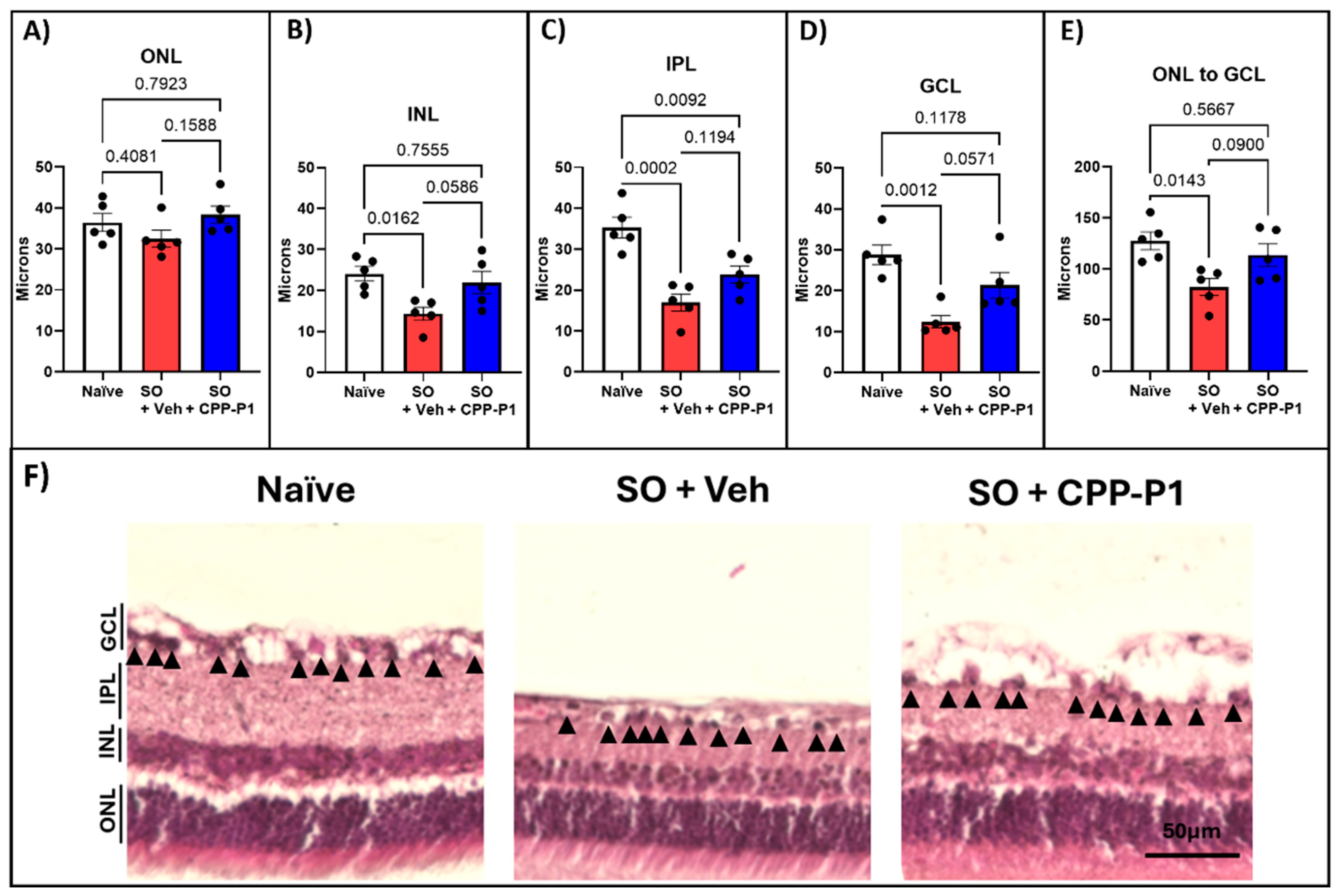 Preprints 120874 g002