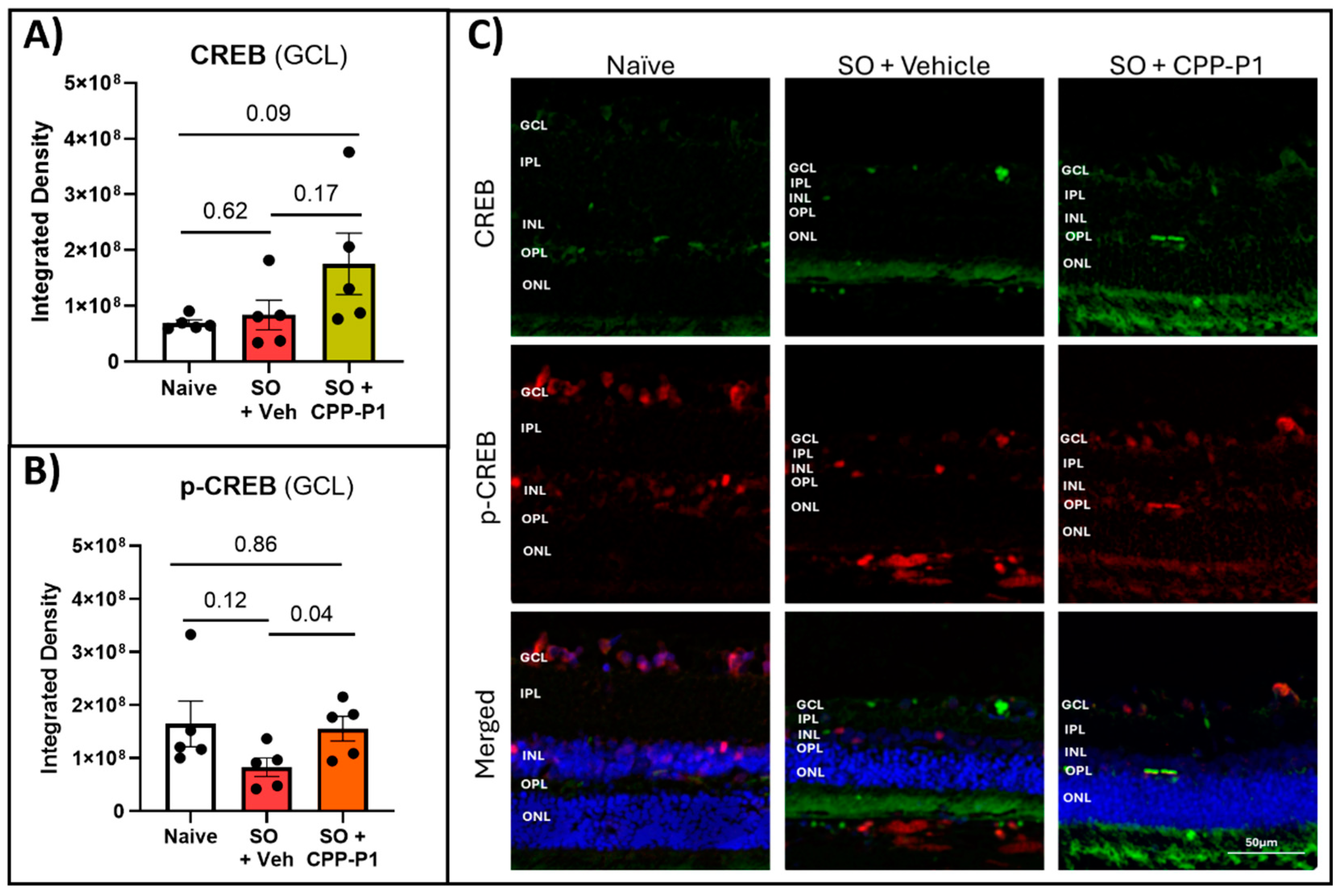 Preprints 120874 g003