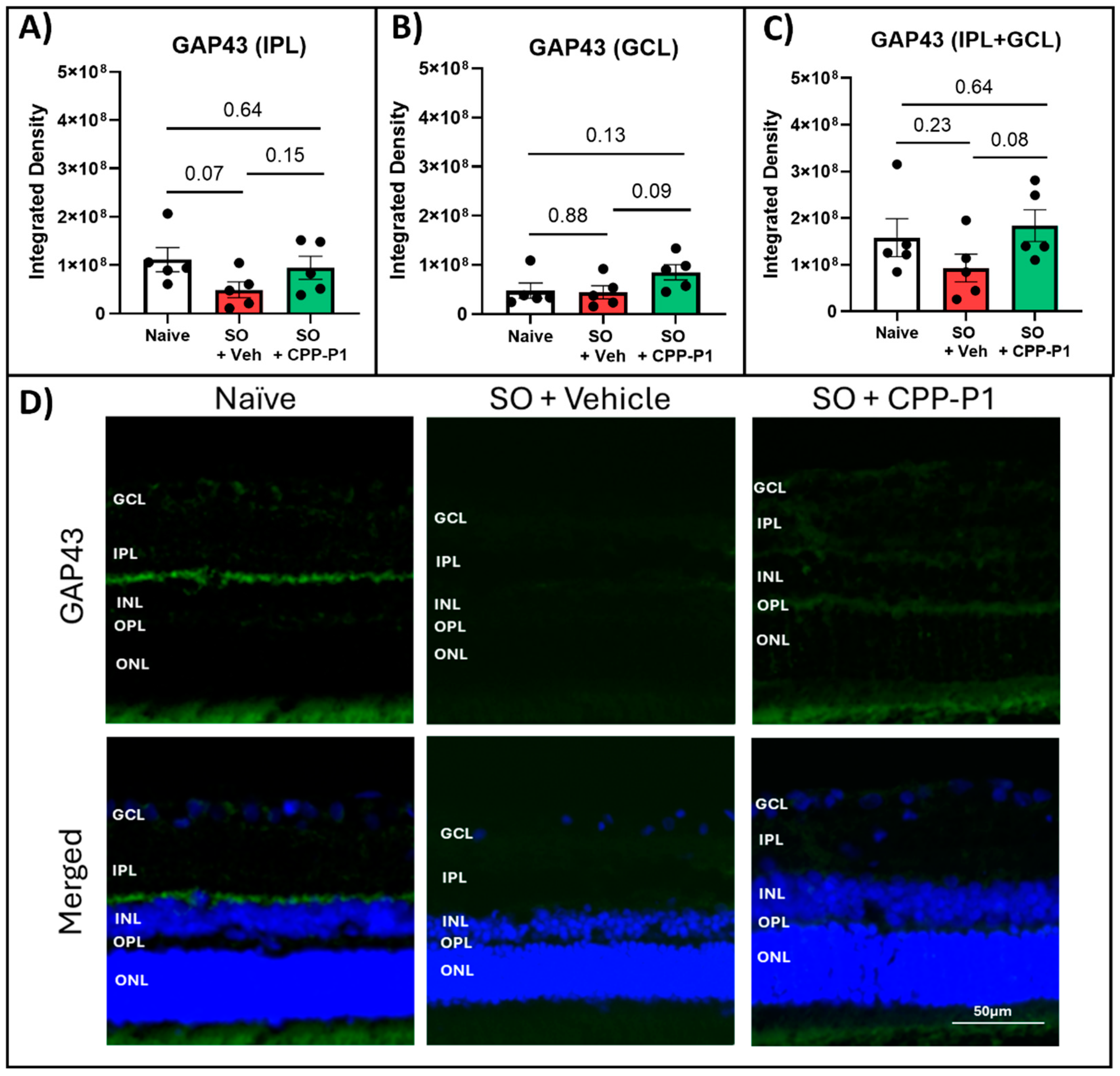 Preprints 120874 g004