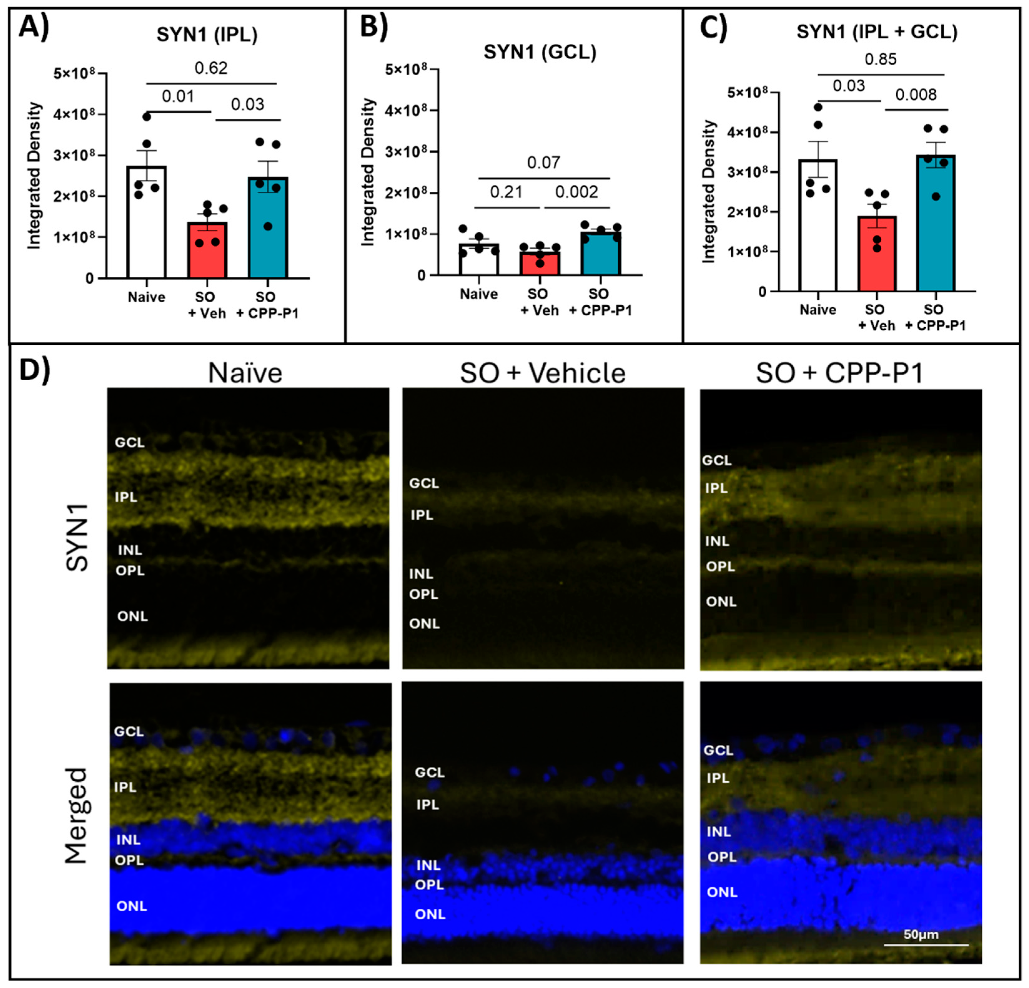 Preprints 120874 g005