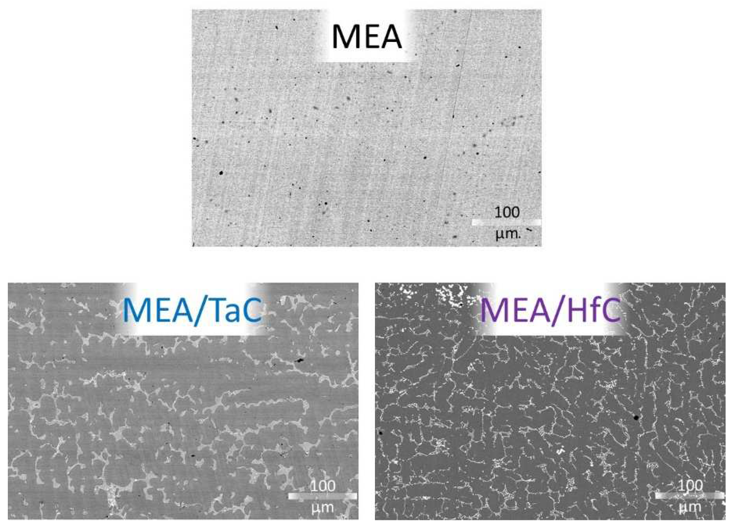 Preprints 79908 g001