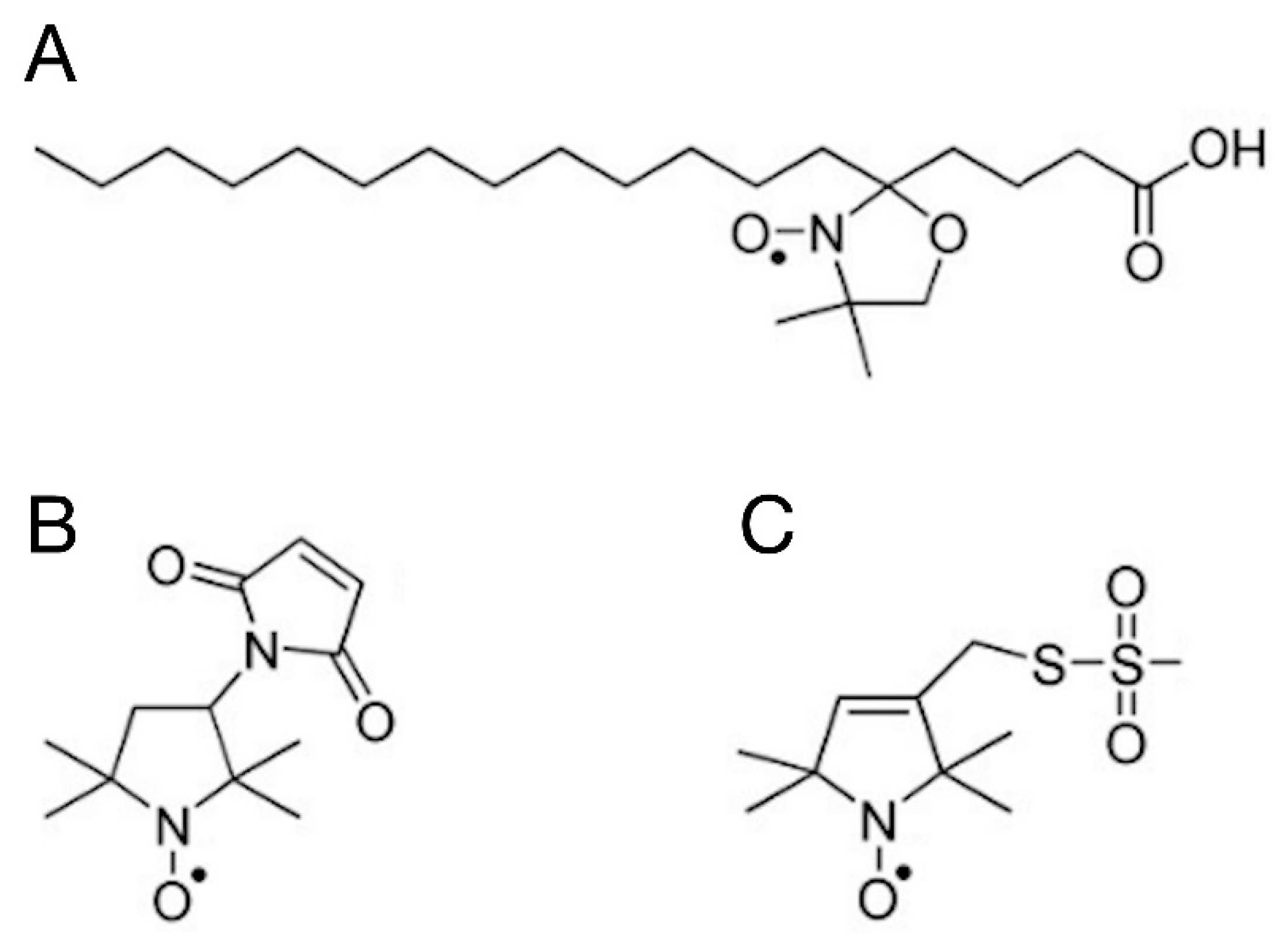 Preprints 82223 g004