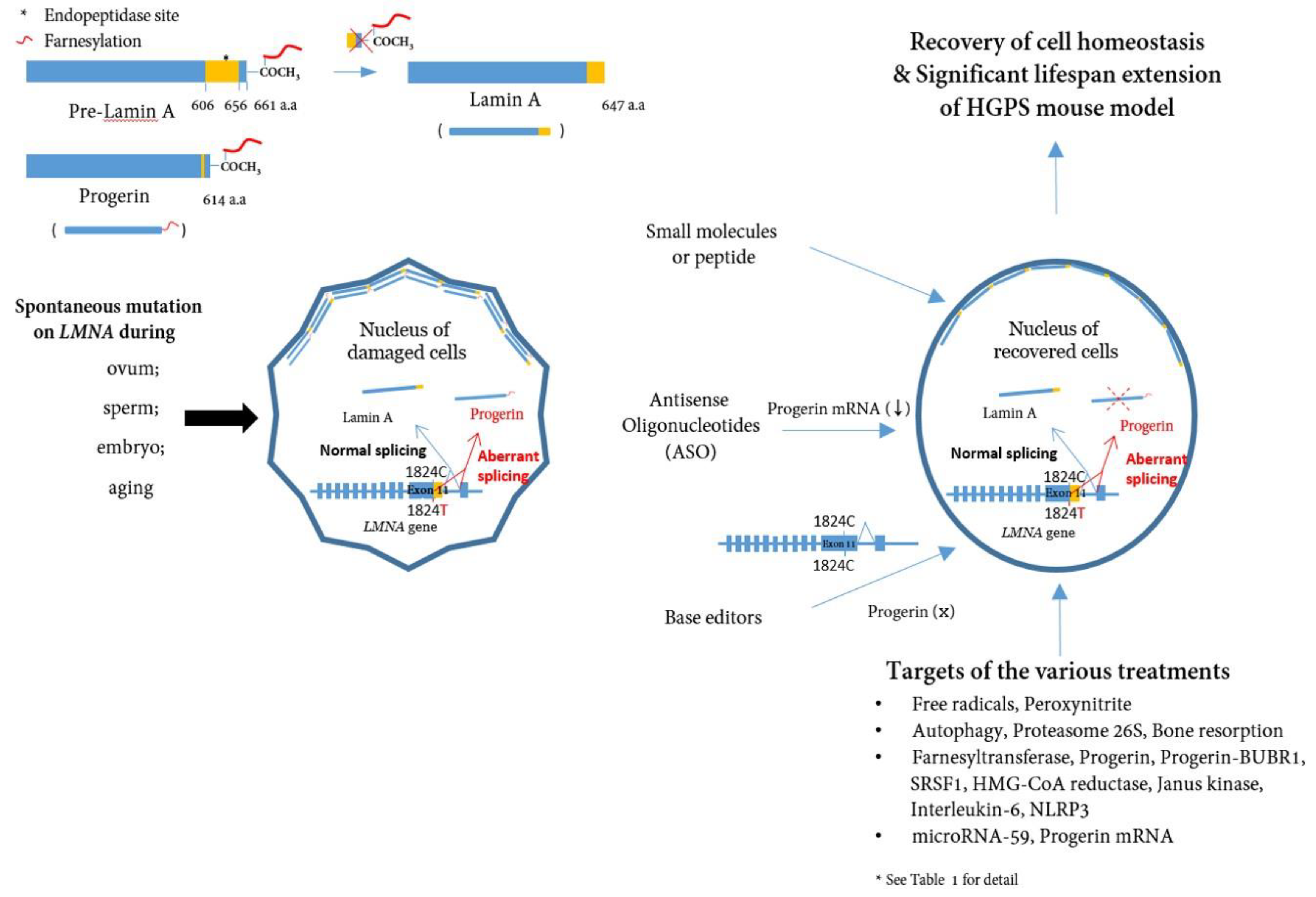 Preprints 81992 g001