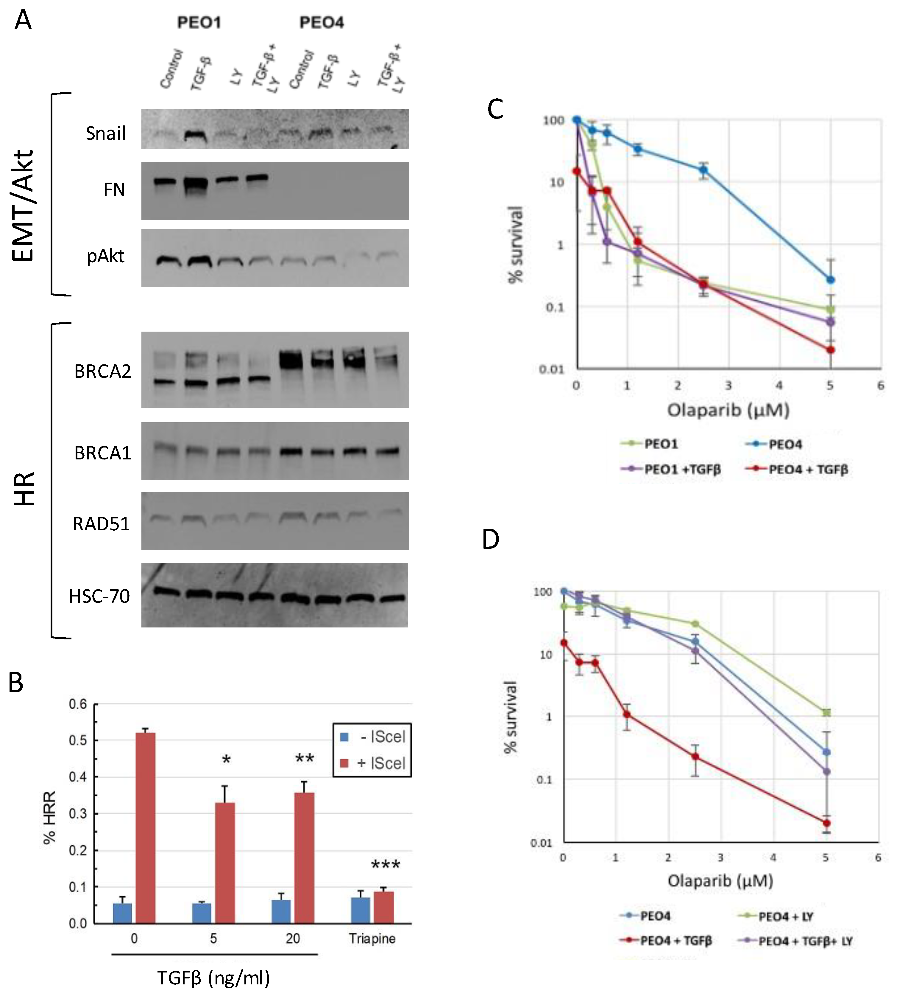 Preprints 70939 g003