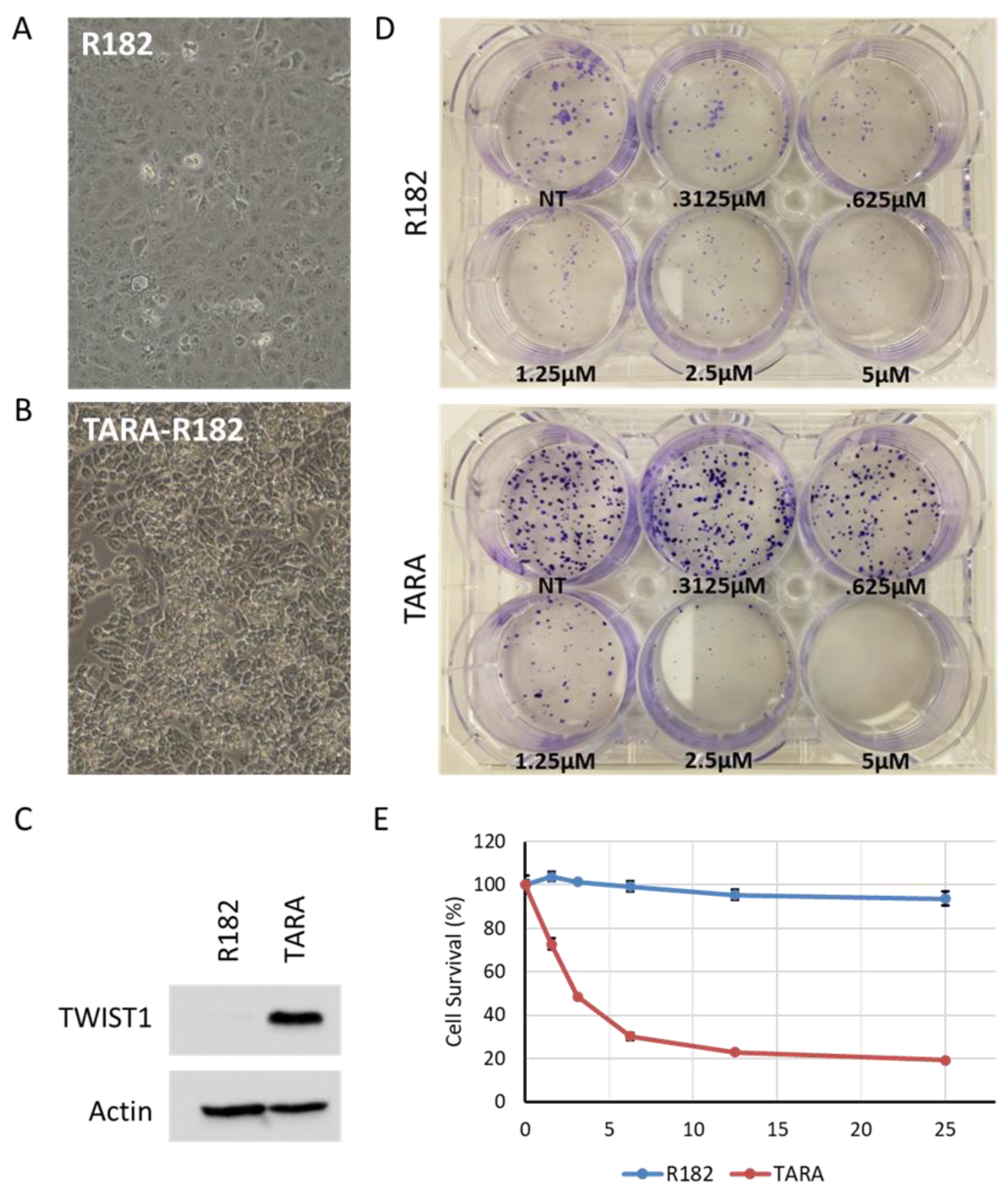 Preprints 70939 g004