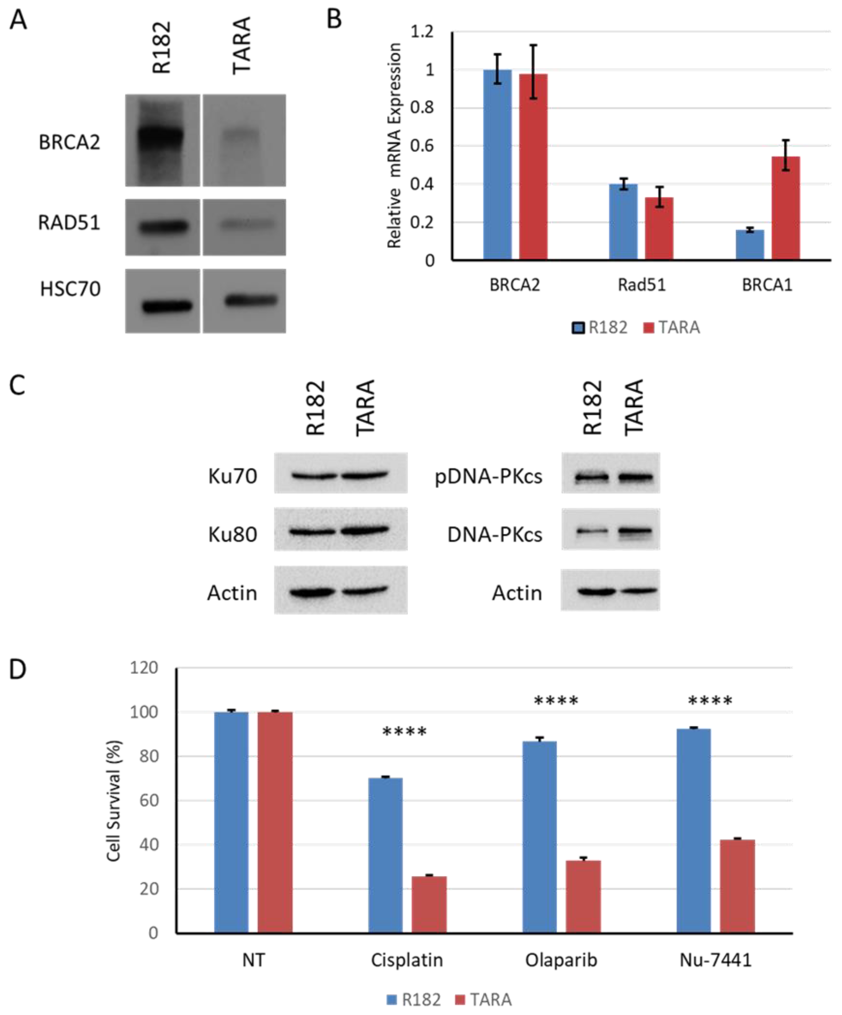 Preprints 70939 g005