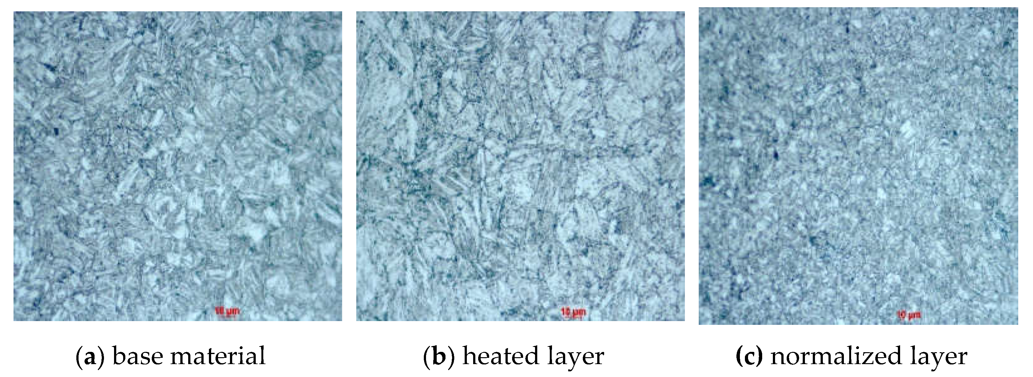 Preprints 71959 g010