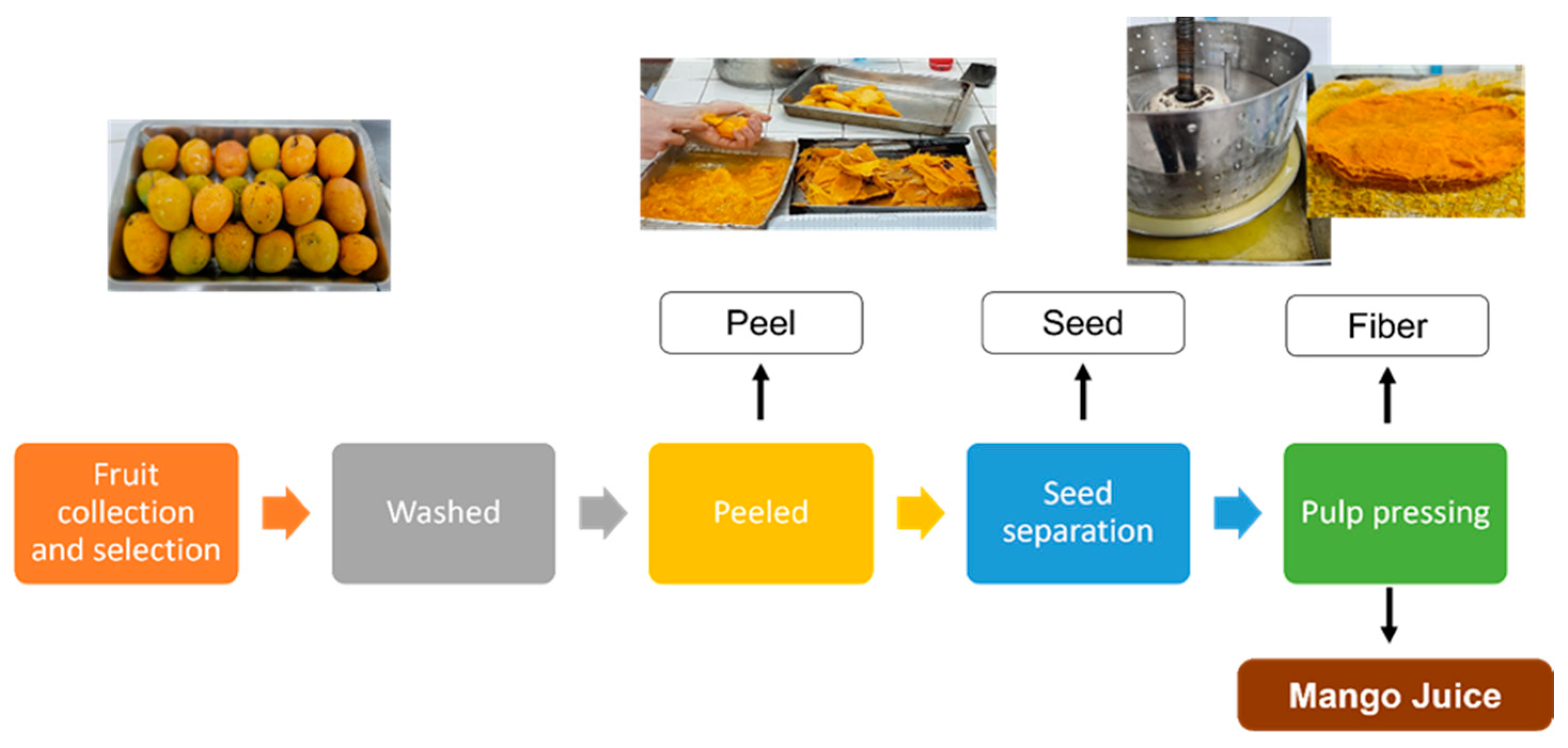 Preprints 100680 g002