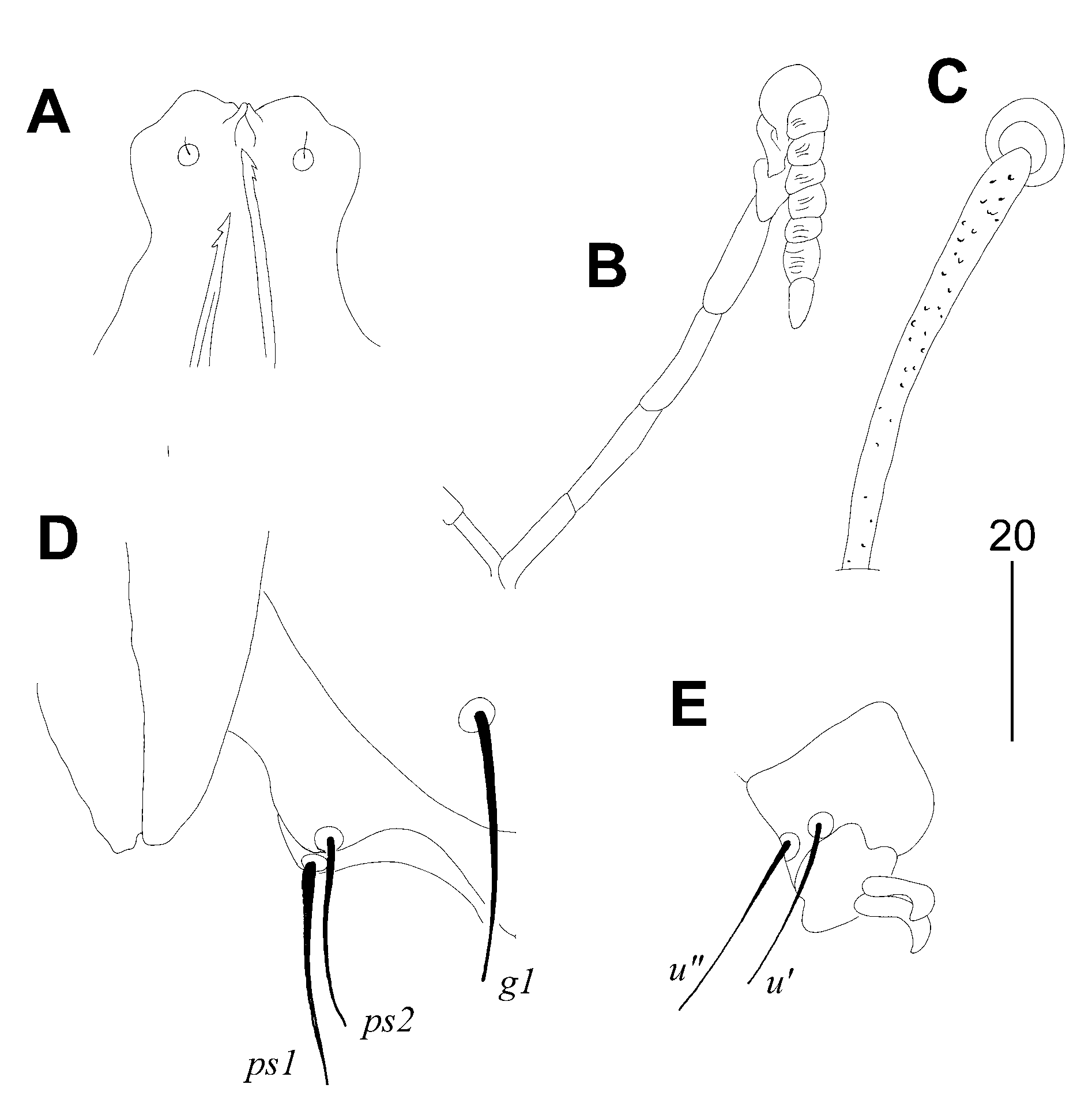 Preprints 114683 g002