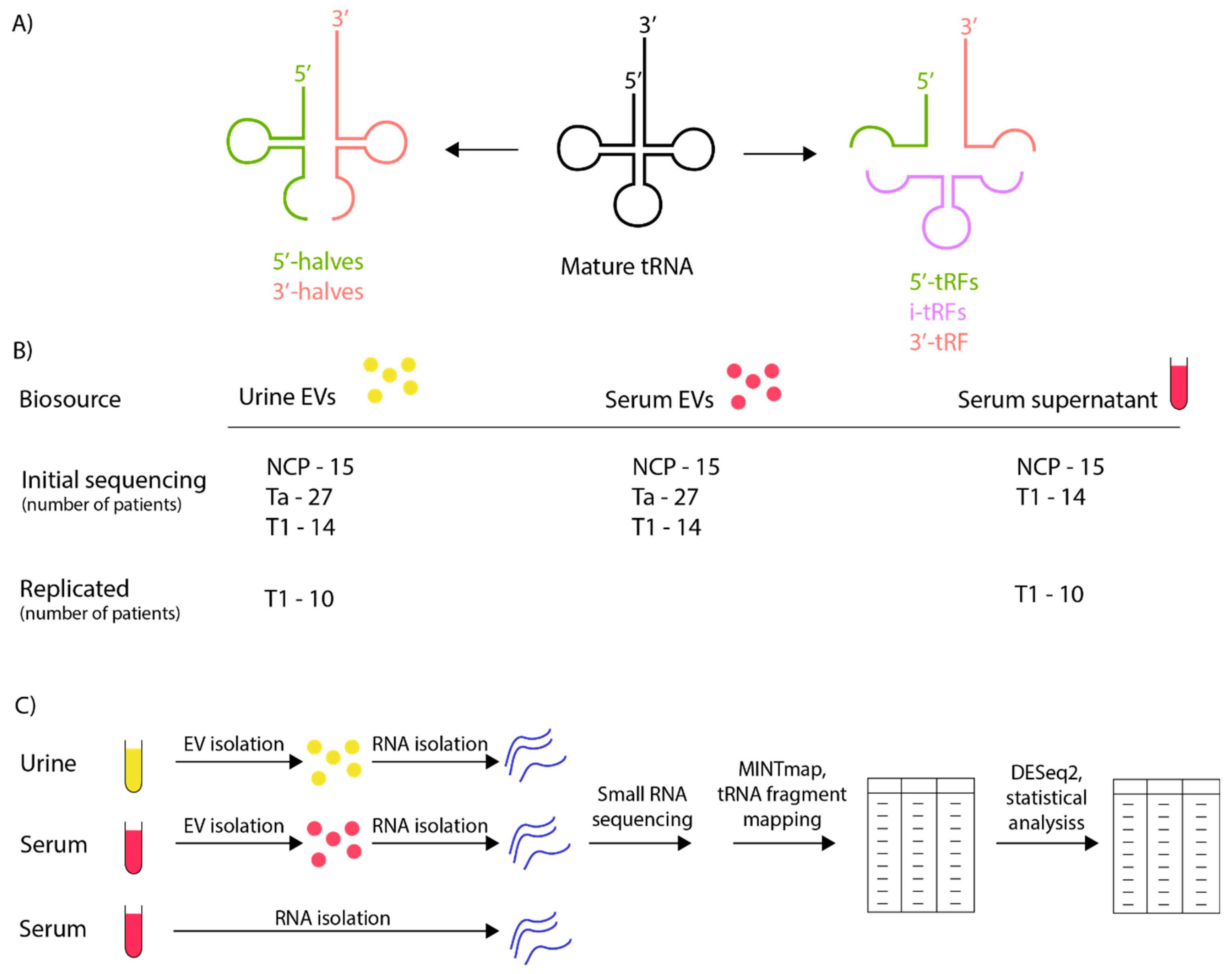 Preprints 102745 g001