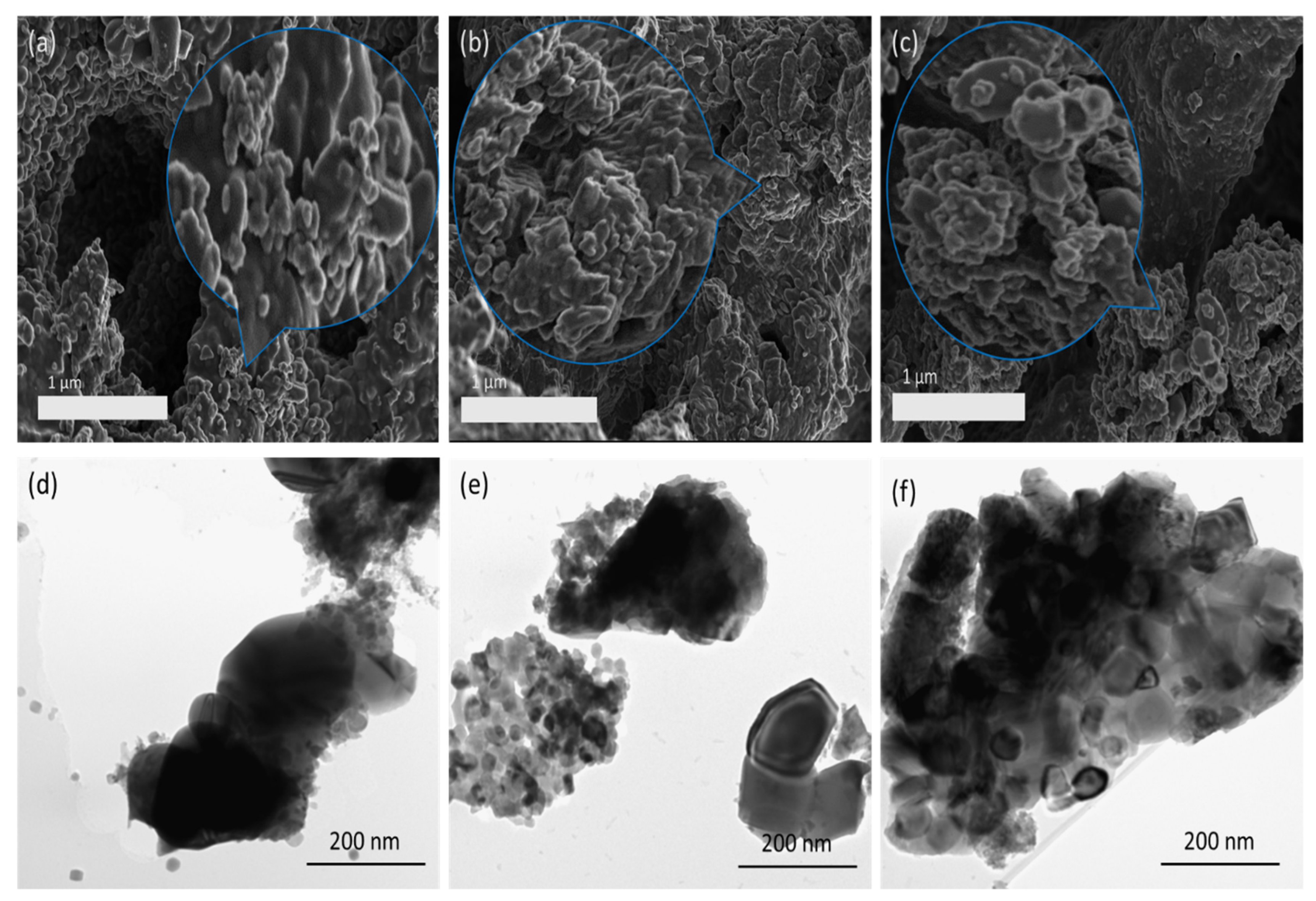 Preprints 76859 g002