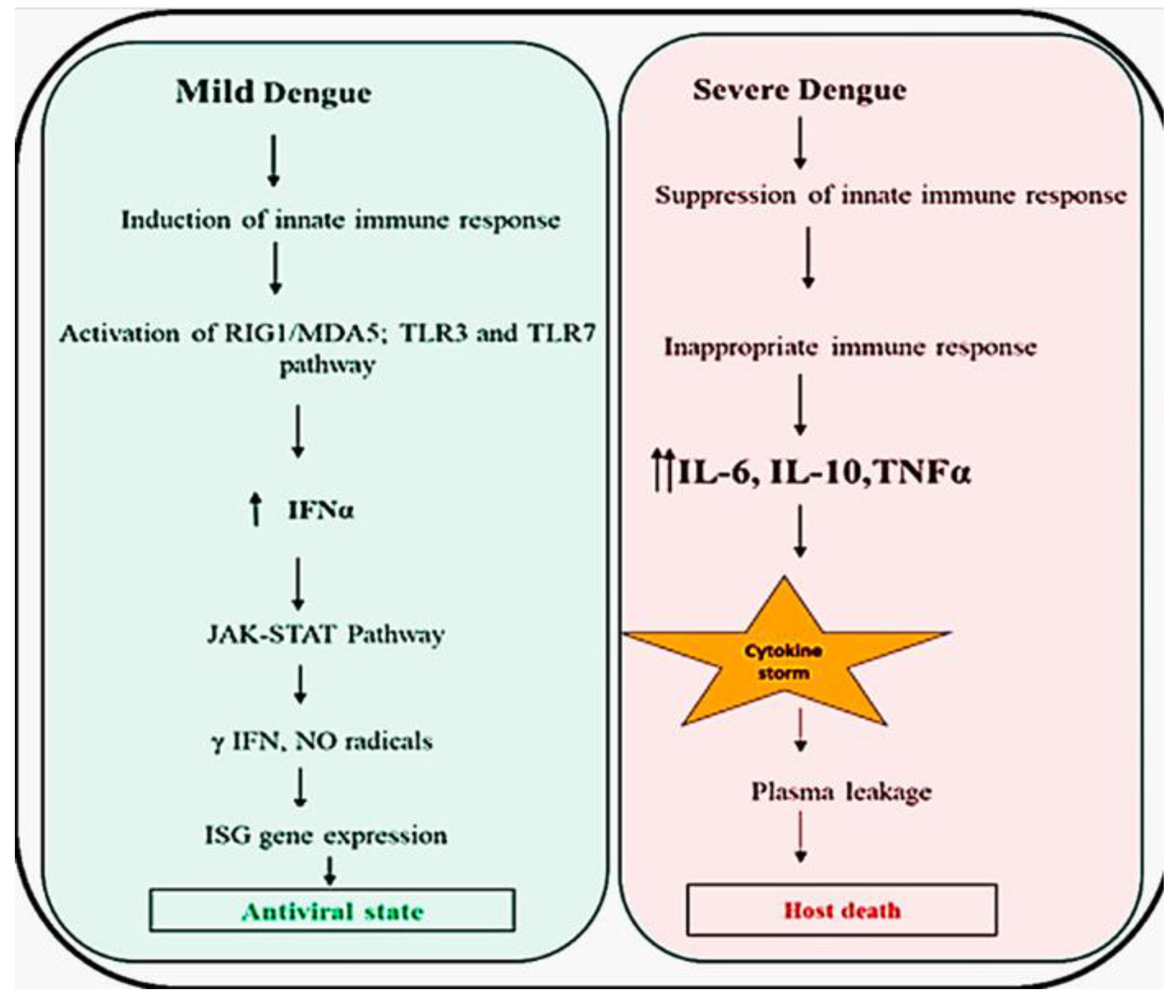 Preprints 90261 g007