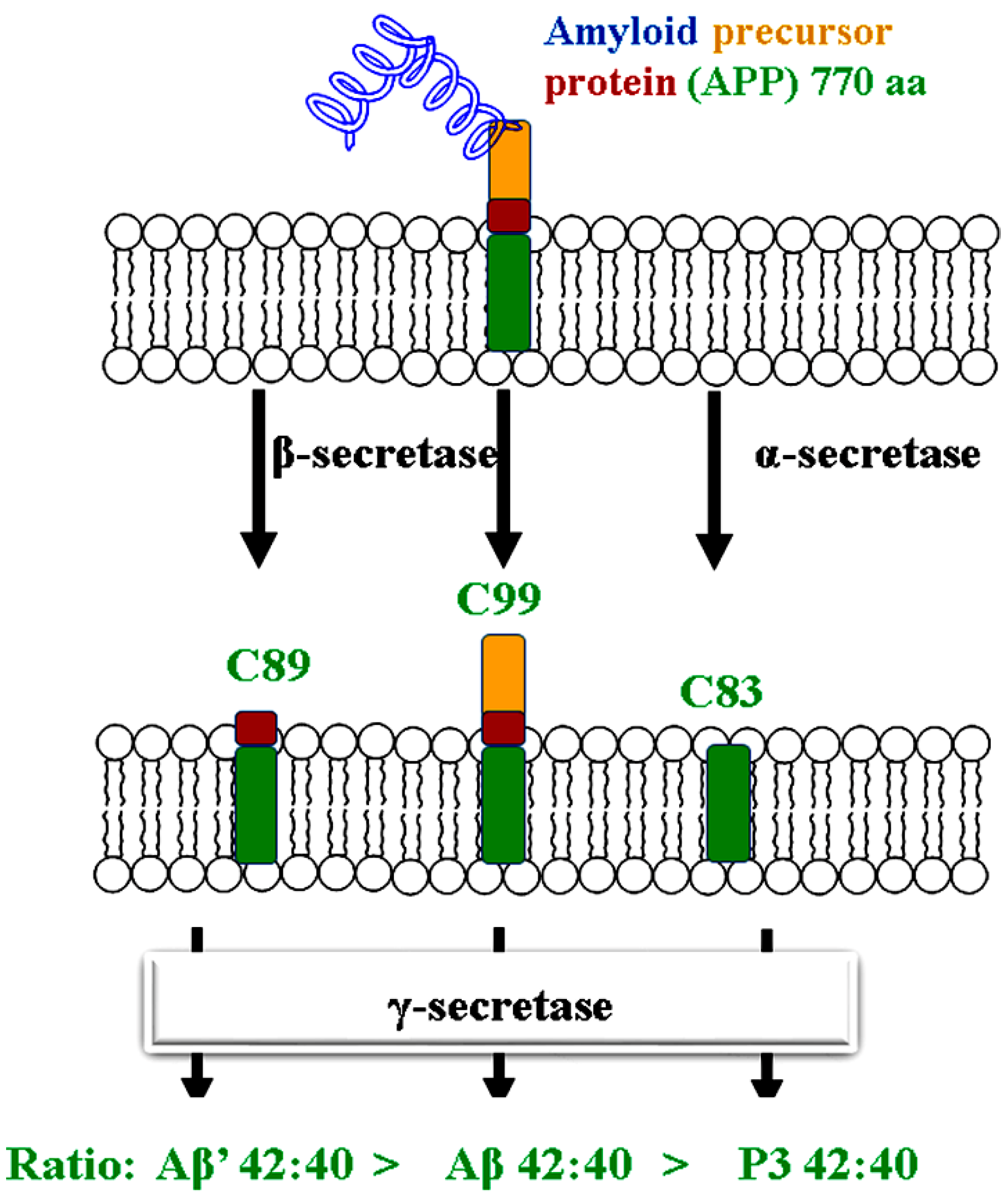 Preprints 98786 g001