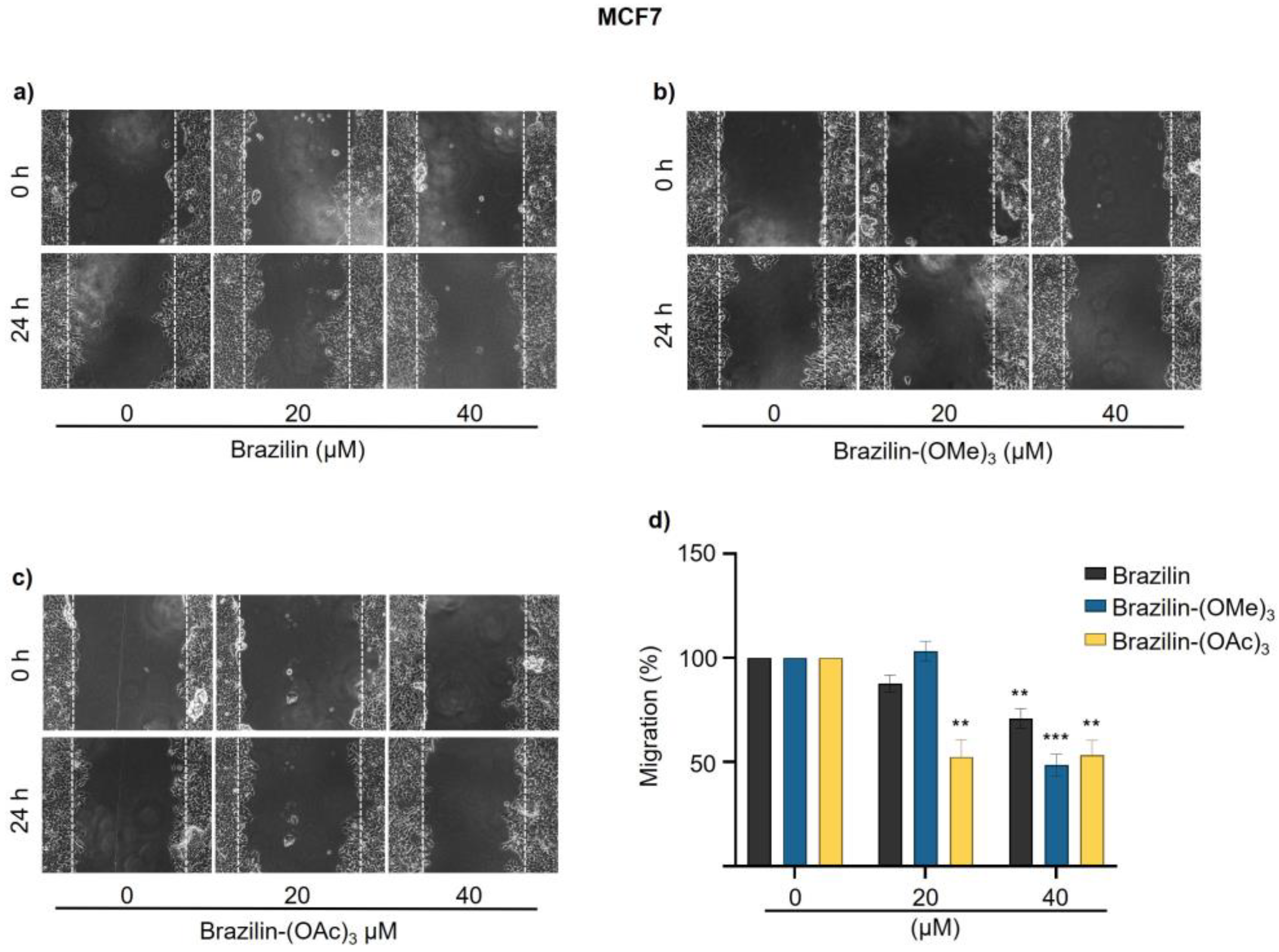 Preprints 137357 g006