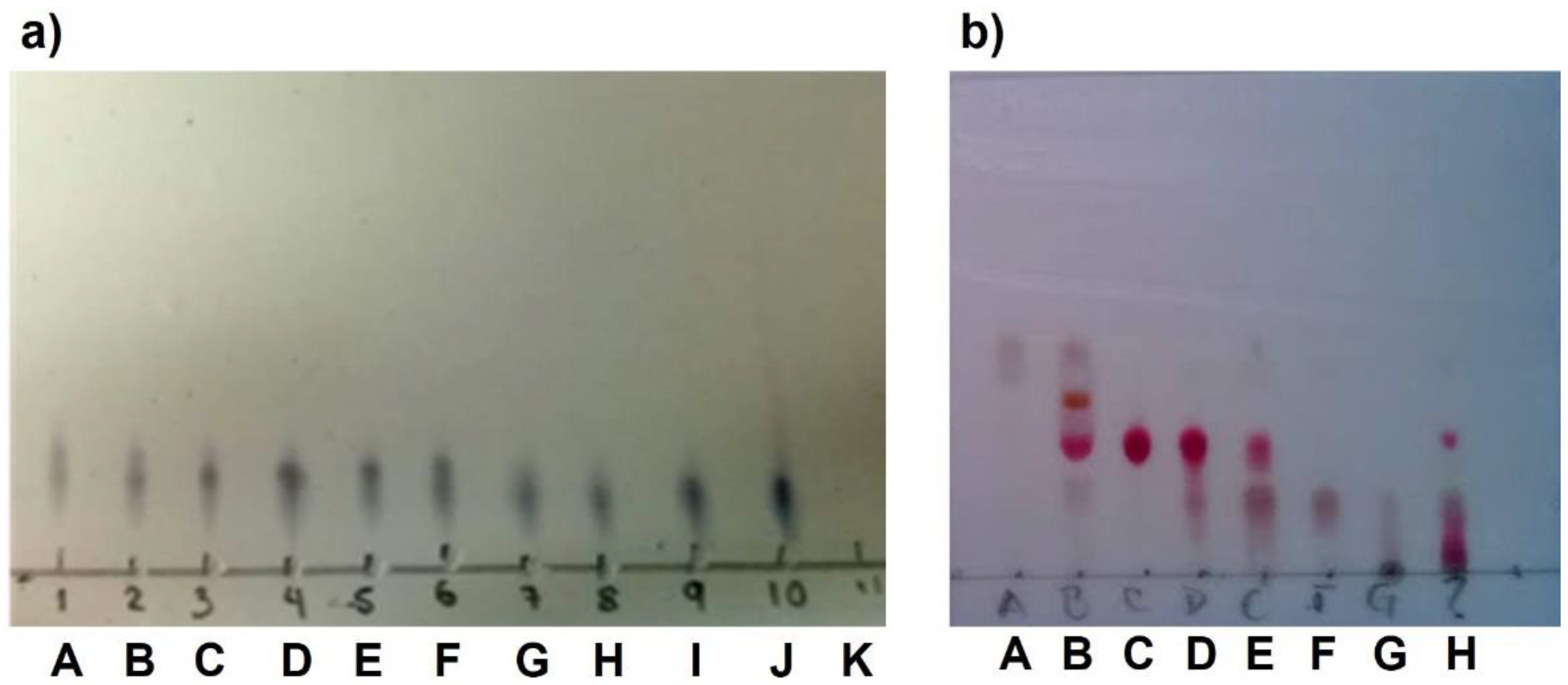 Preprints 137357 g011