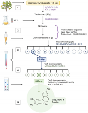 Preprints 137357 i001