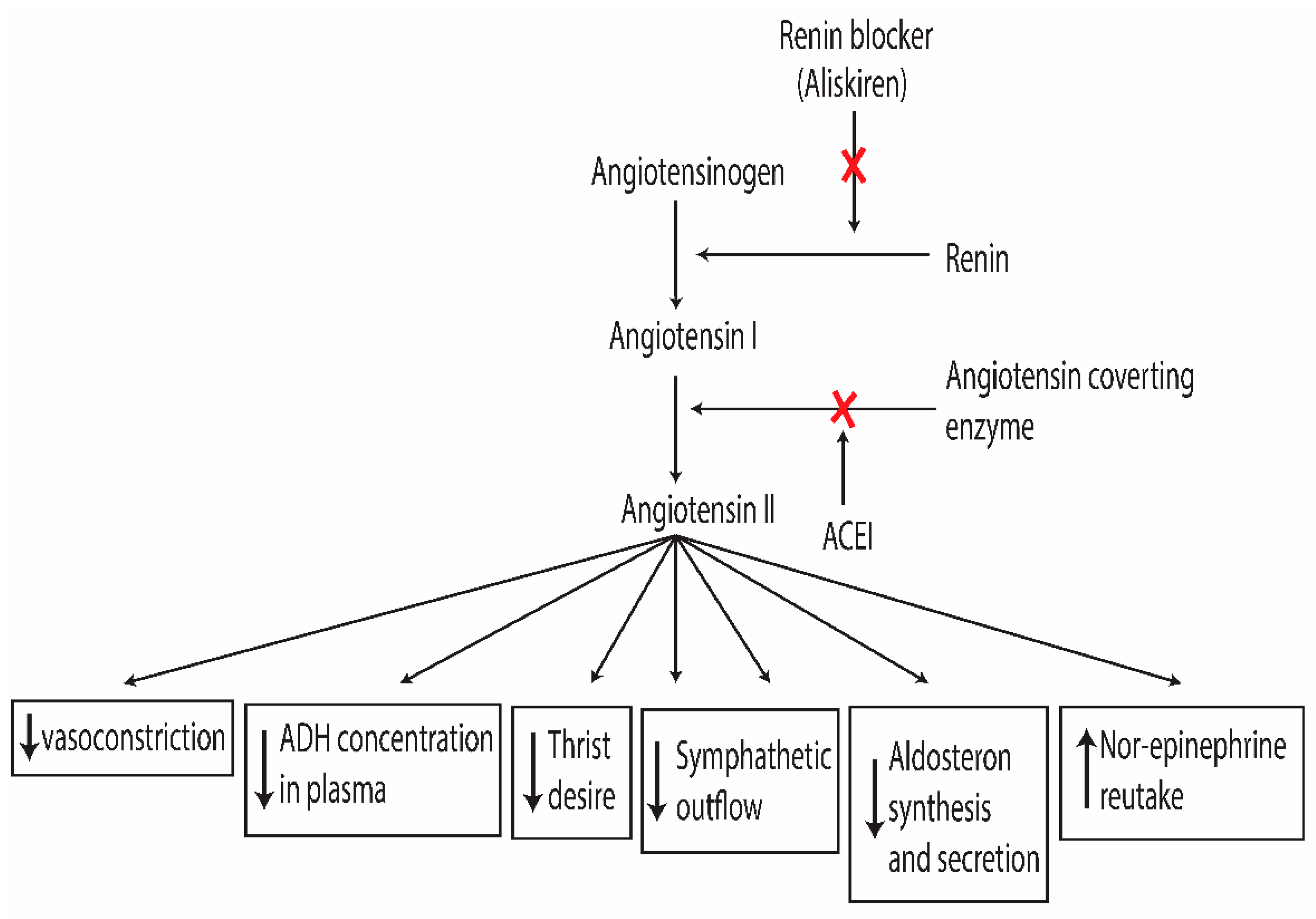 Preprints 113097 g001